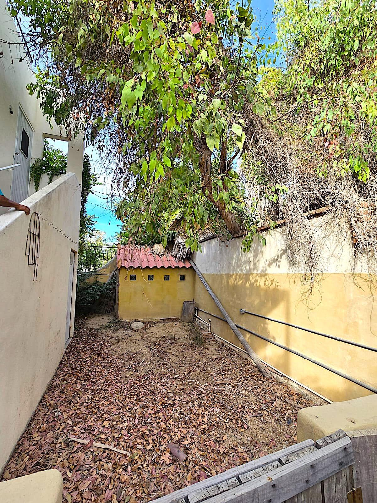 MLS #24-5609 image #23