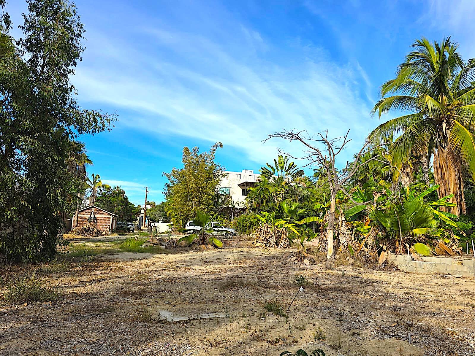 MLS #24-5609 image #26