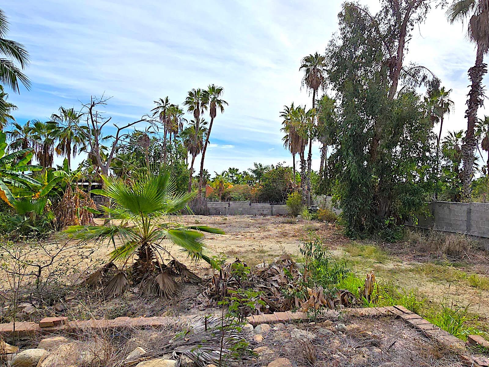 MLS #24-5609 image #27