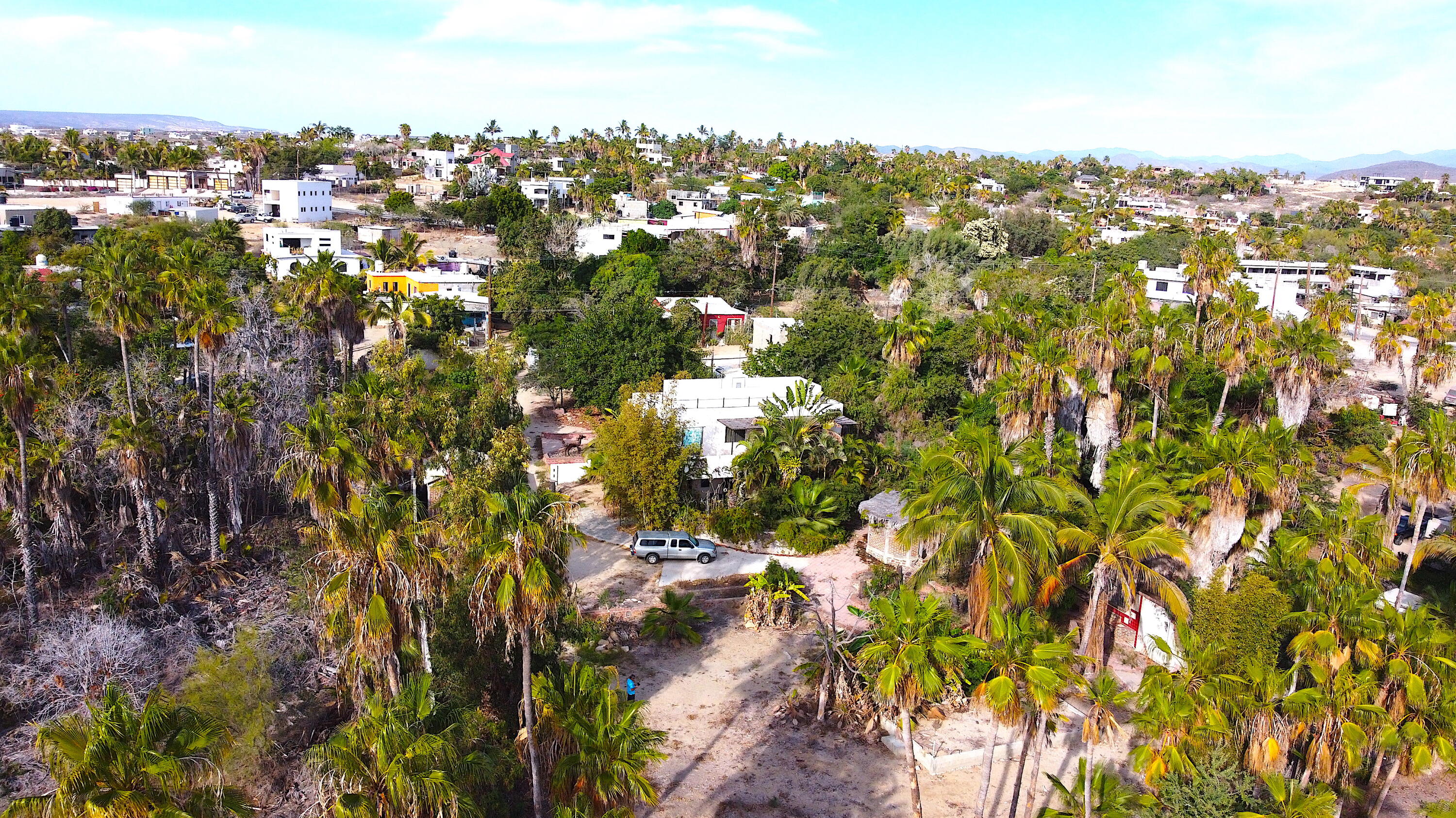 MLS #24-5609 image #9