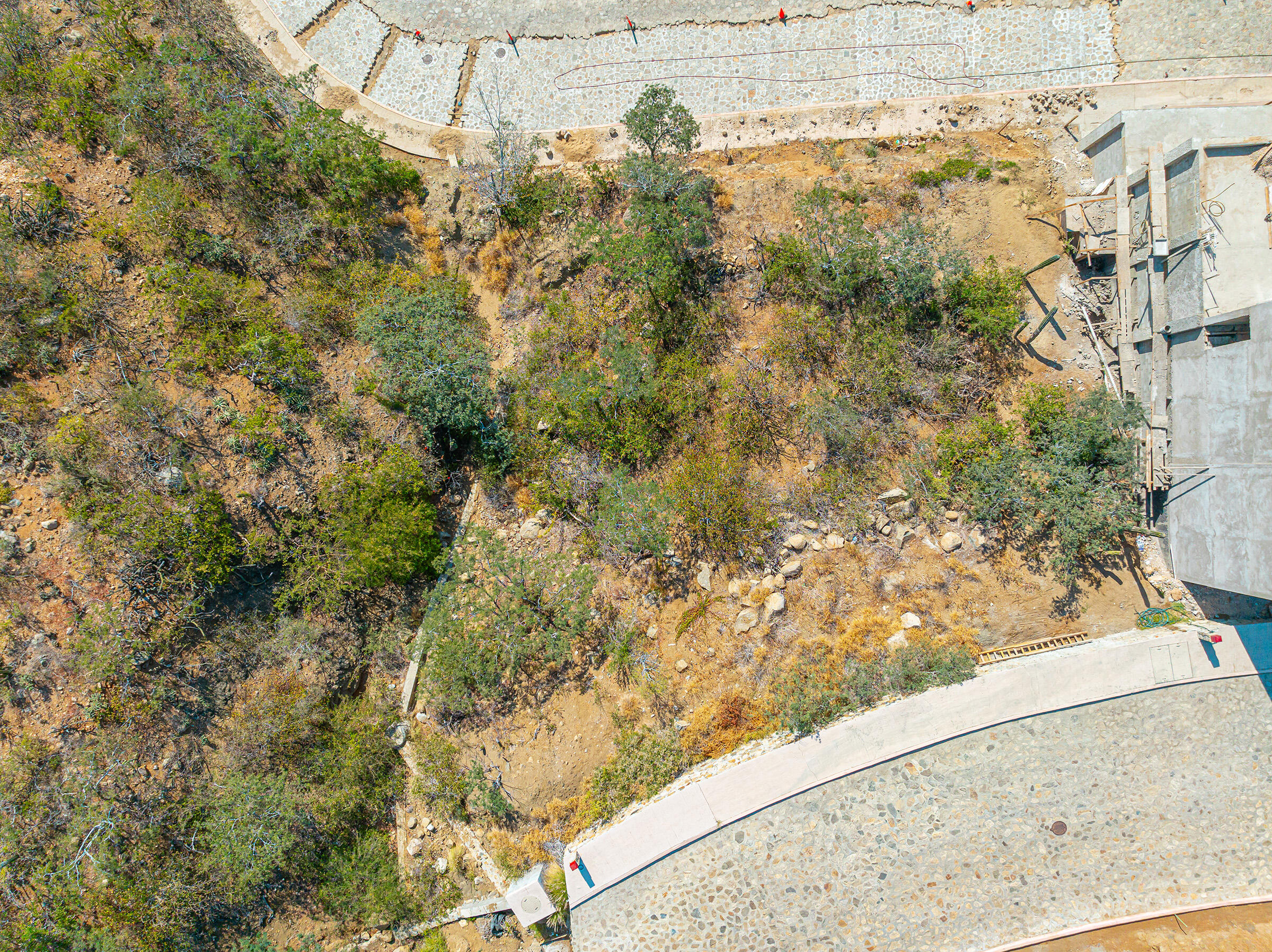 MLS #24-5610 image #10