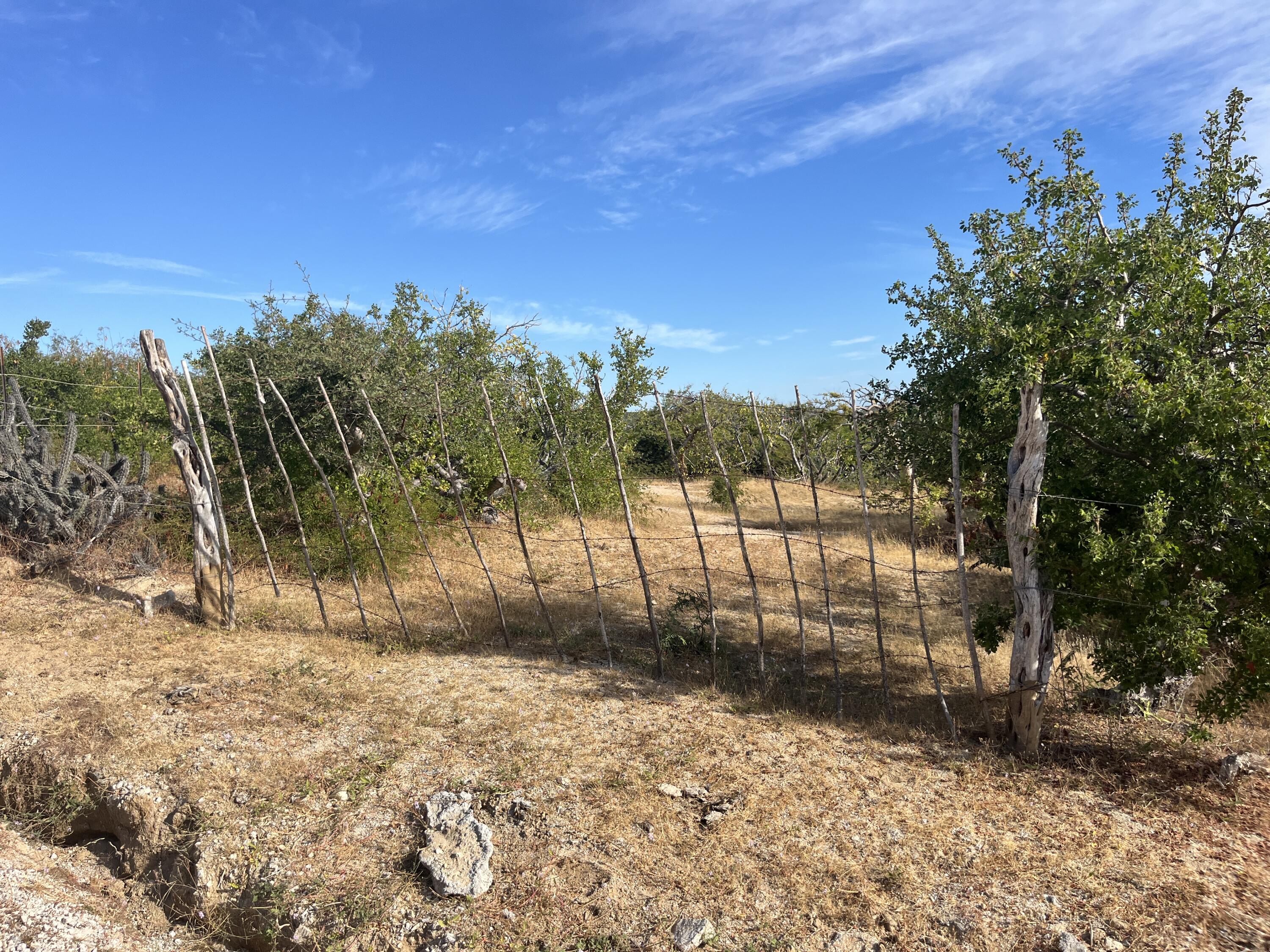 MLS #24-5622 image #10