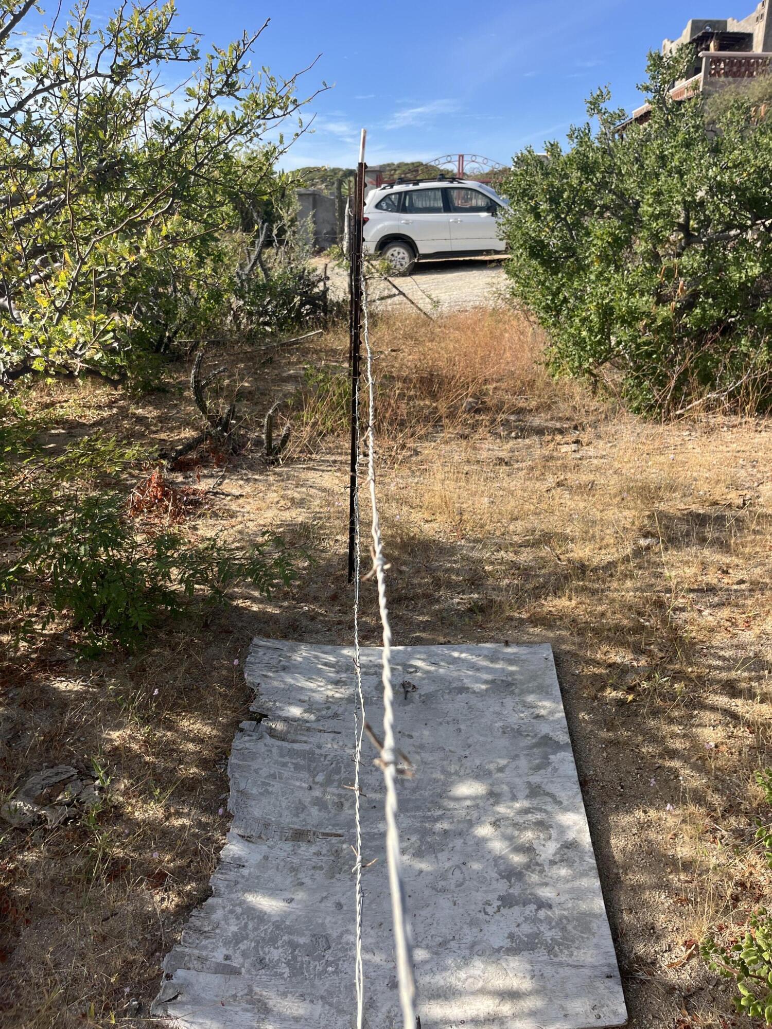 MLS #24-5622 image #2