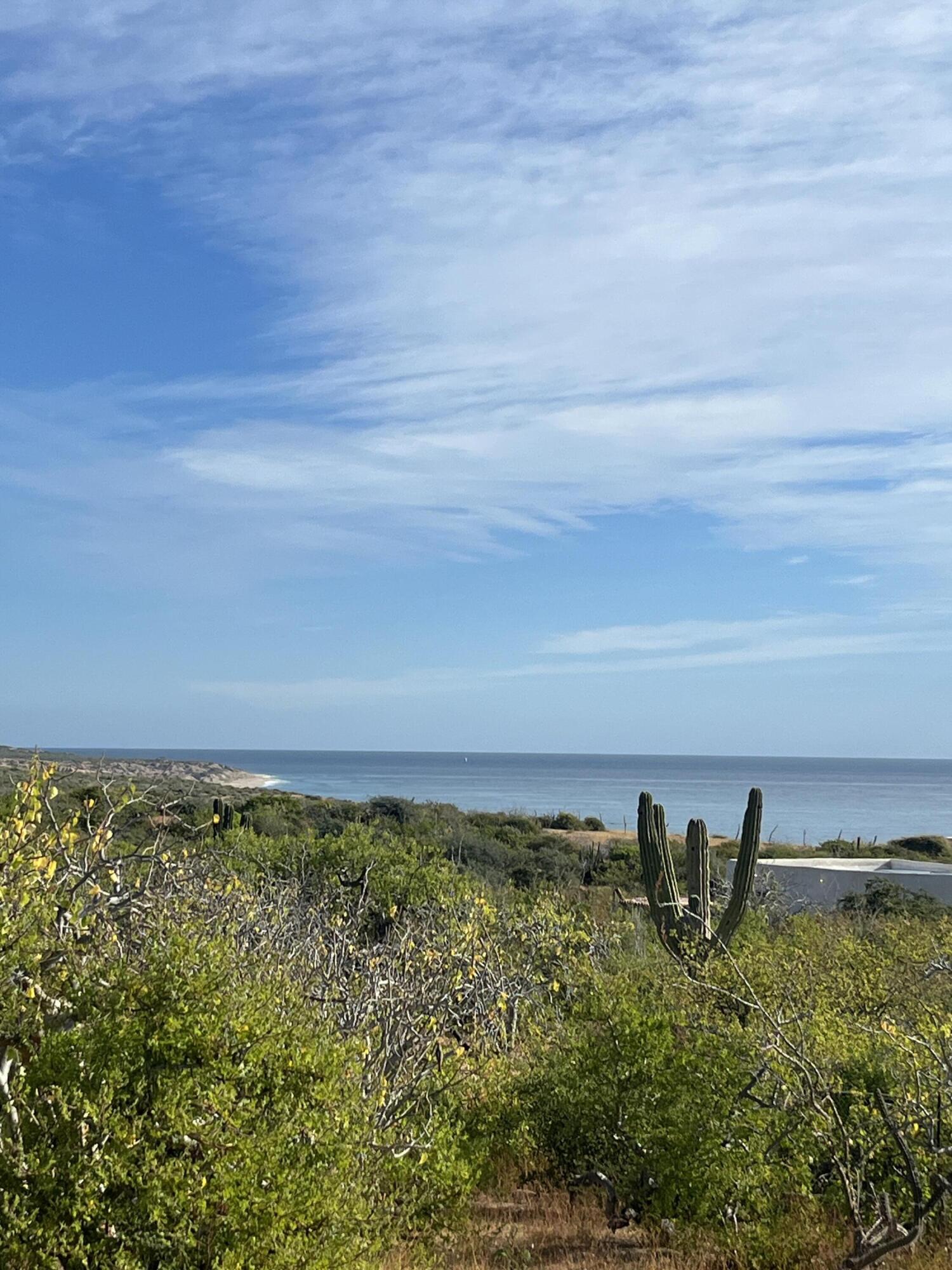 MLS #24-5622 image #3