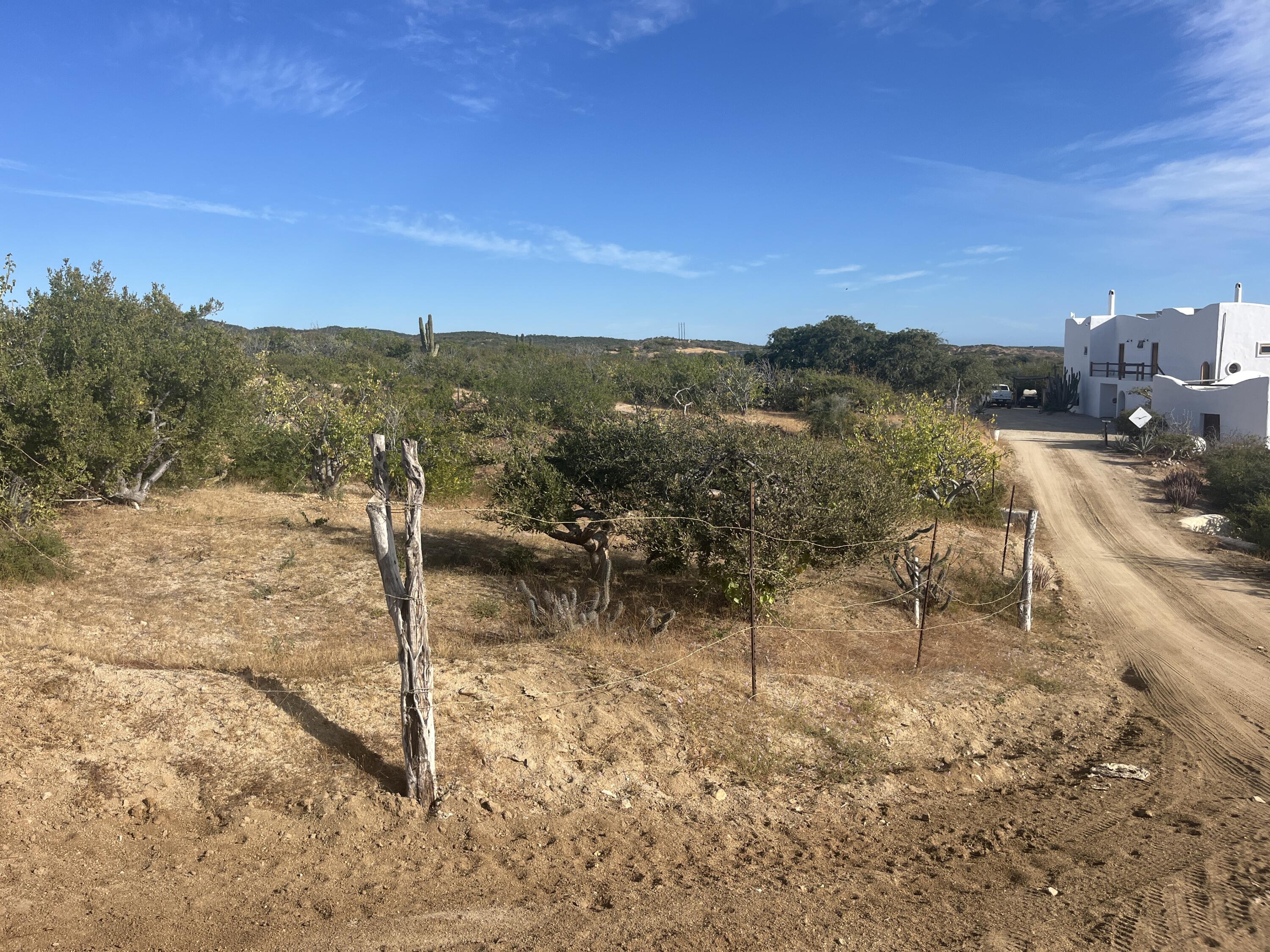 MLS #24-5622 image #7