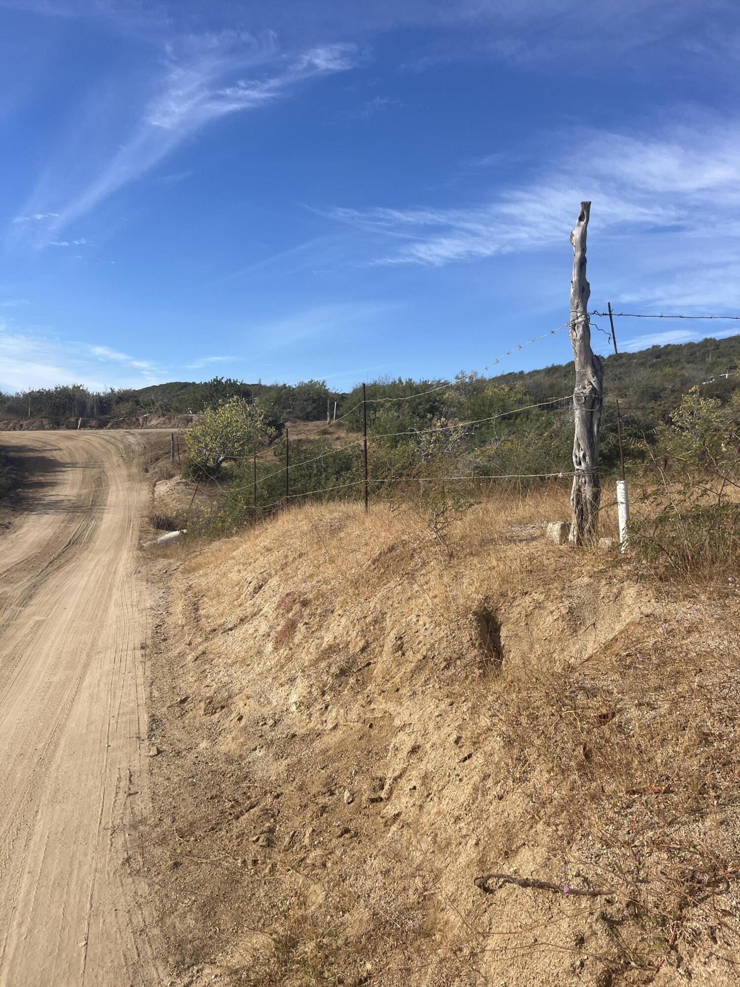 MLS #24-5622 image #9