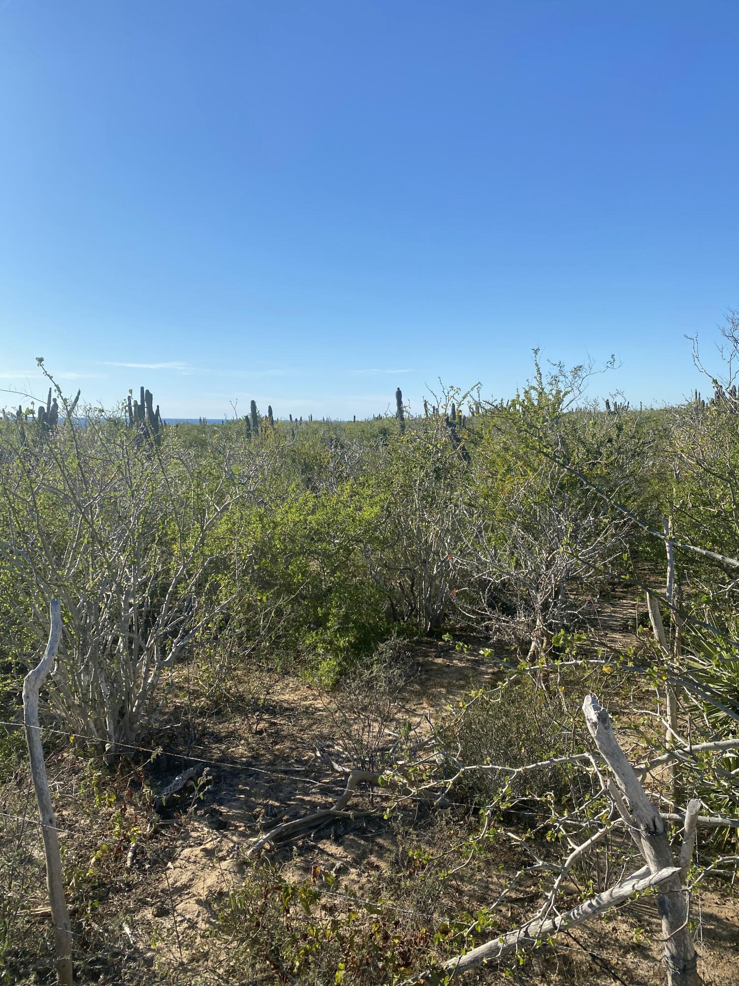 Acceso Boca de la Muela Las Playitas Oceanview Lot Pacific BCS MLS #24-5674 38 MLS #24-5674 image #1