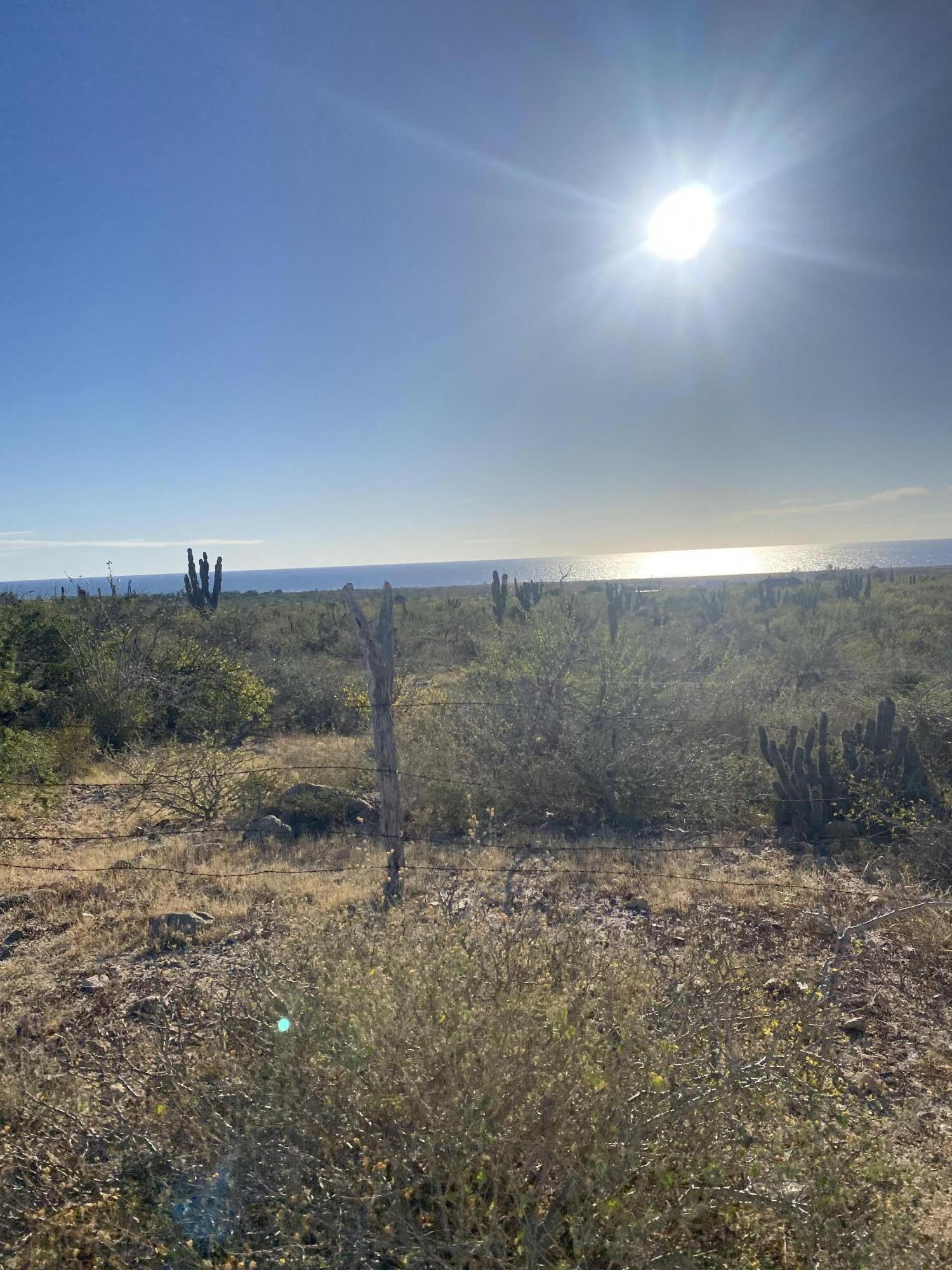 Acceso Boca de la Muela Las Playitas Oceanview Lot Pacific BCS MLS #24-5674 39 MLS #24-5674 image #2