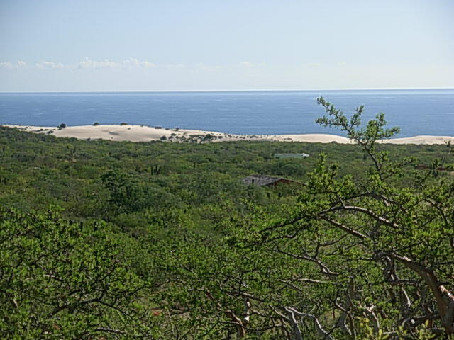 MLS #24-5698 img 3