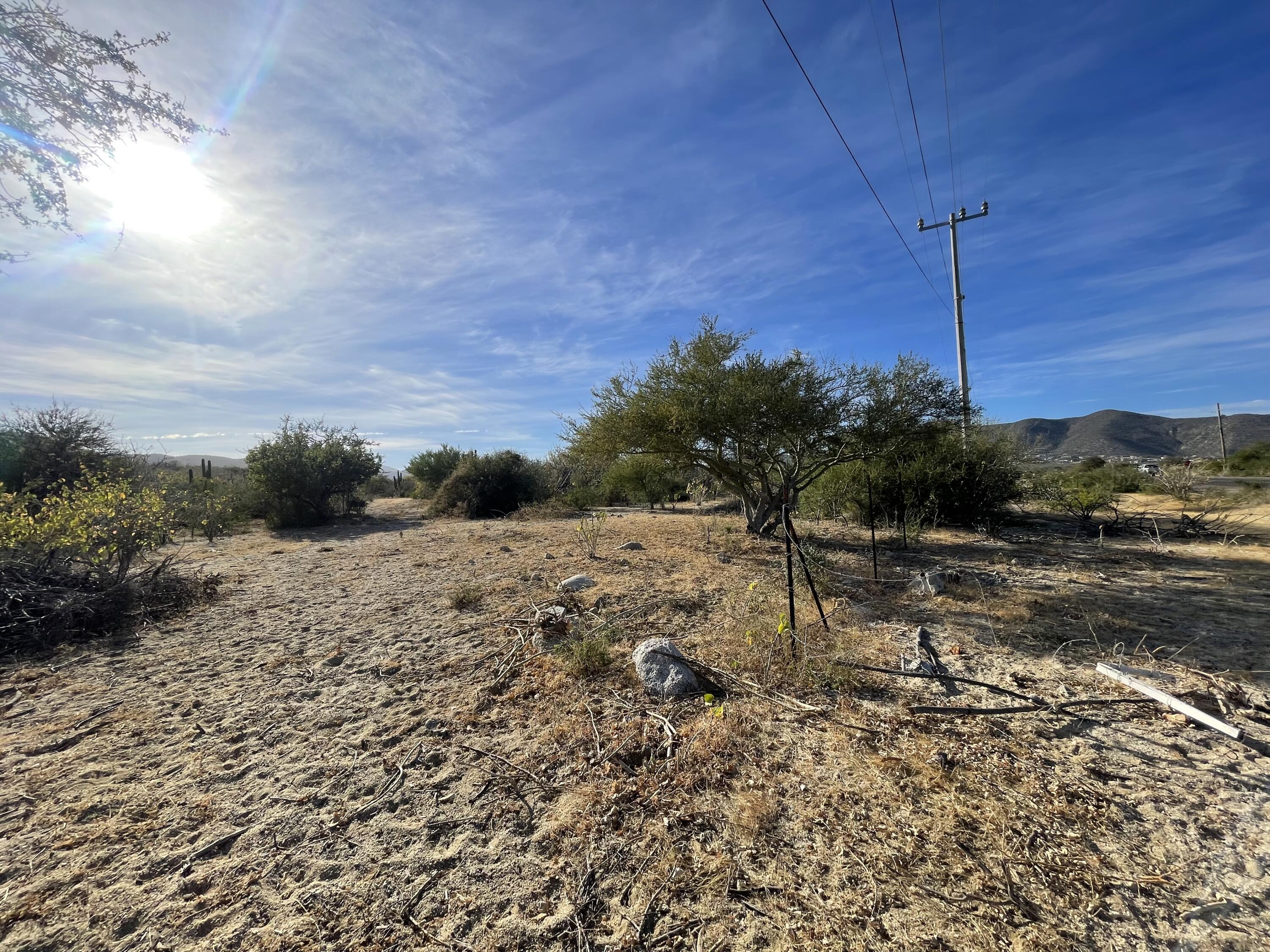 MLS #24-5711 img 2