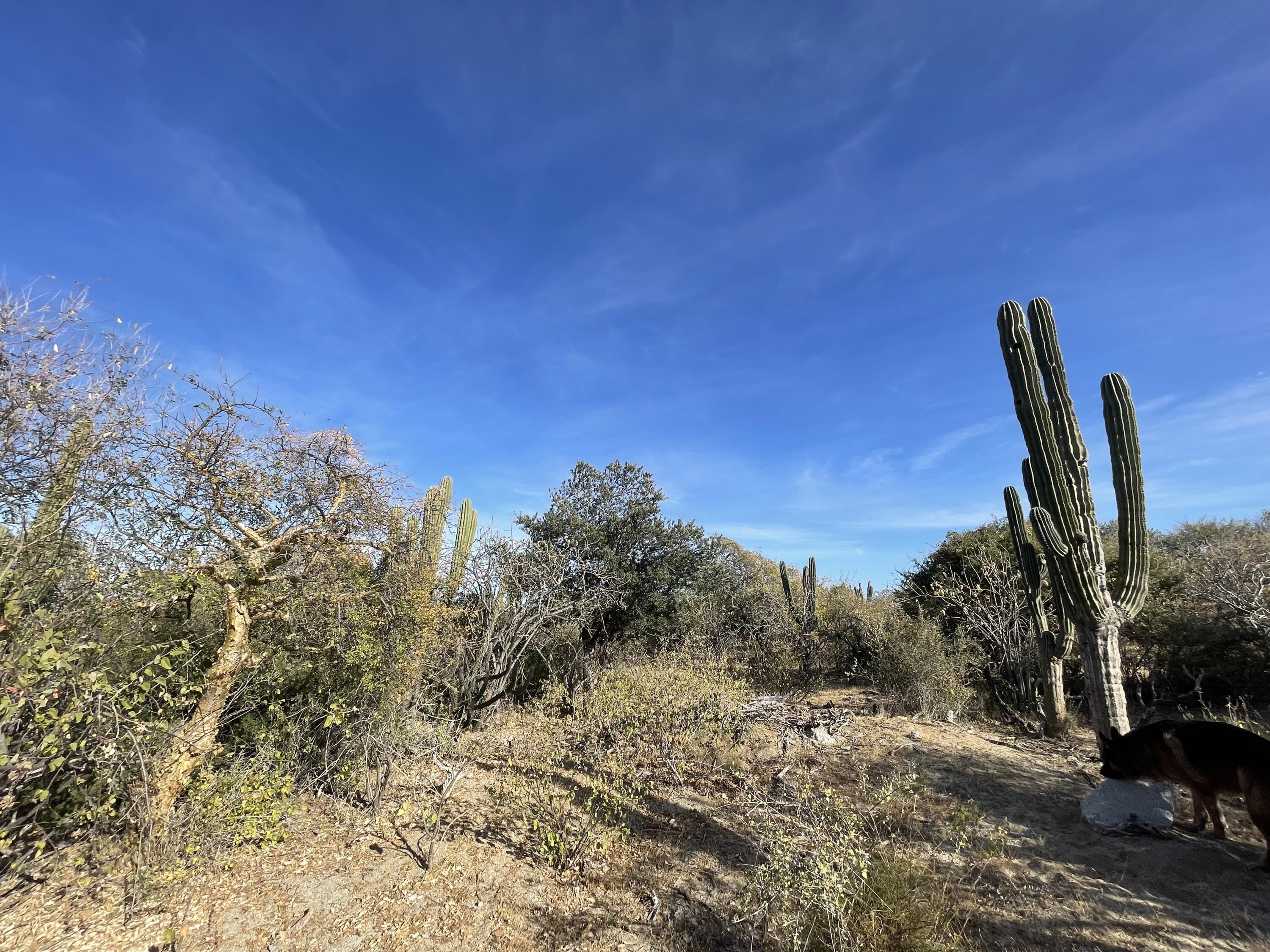MLS #24-5711 img 3
