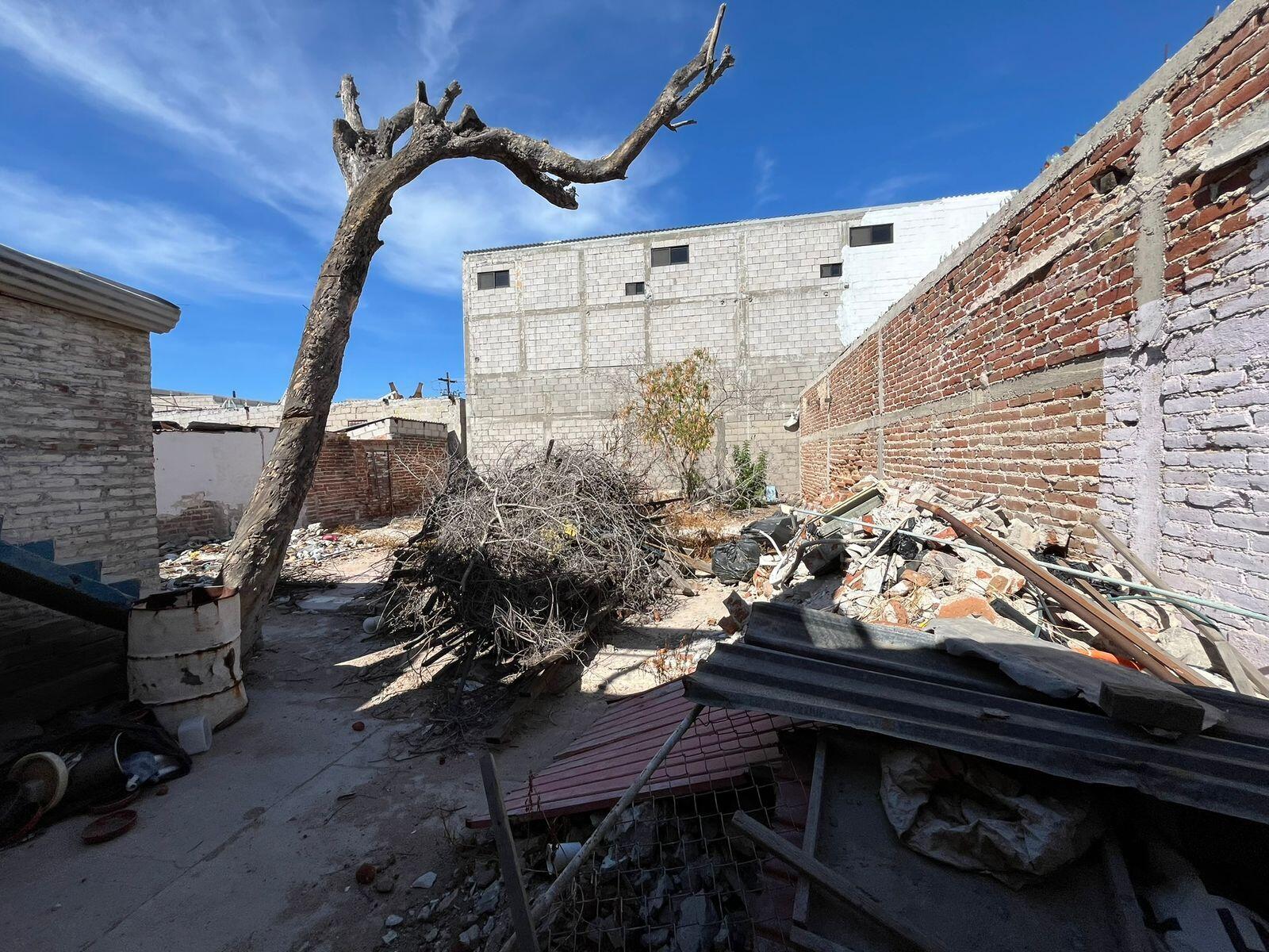 MLS #24-5734 image #10