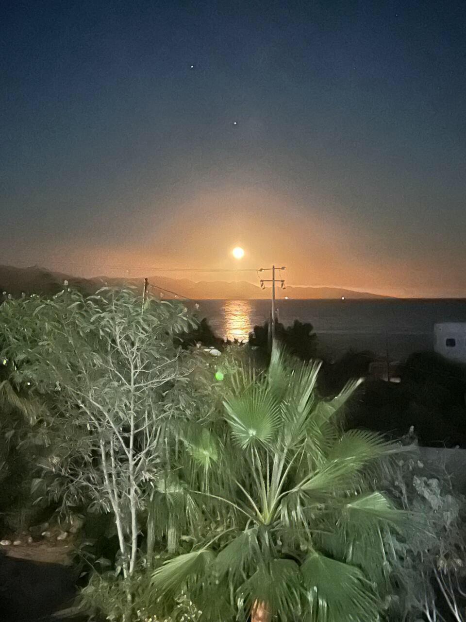 MLS #24-5741 image #55