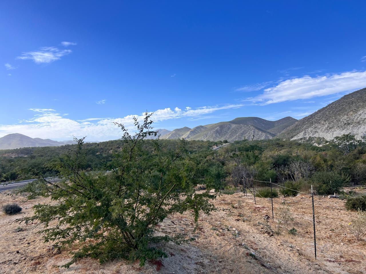 MLS #24-5760 image #0