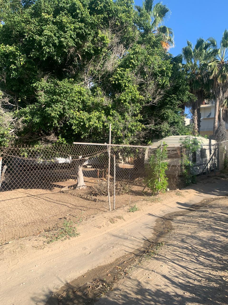 MLS #24-5821 img 1