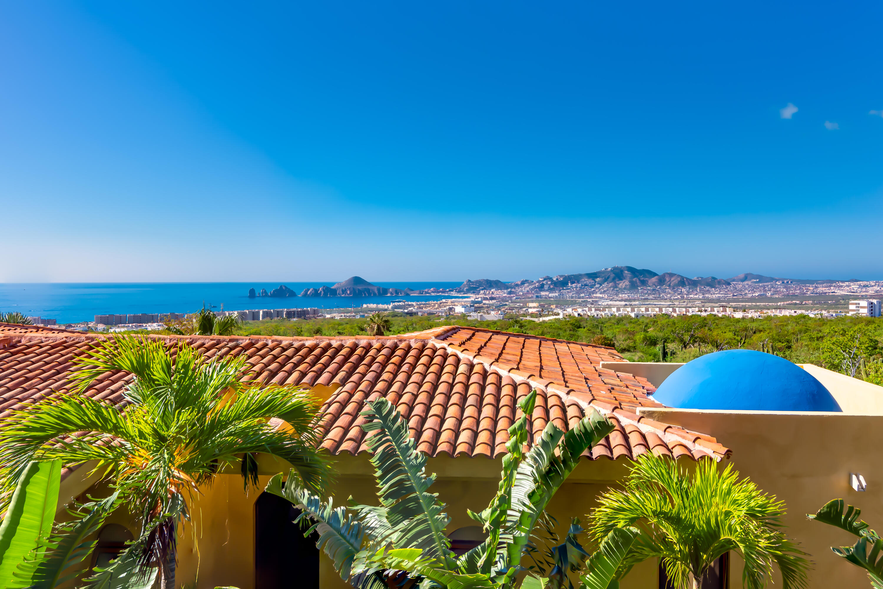 MLS #24-5842 image #12