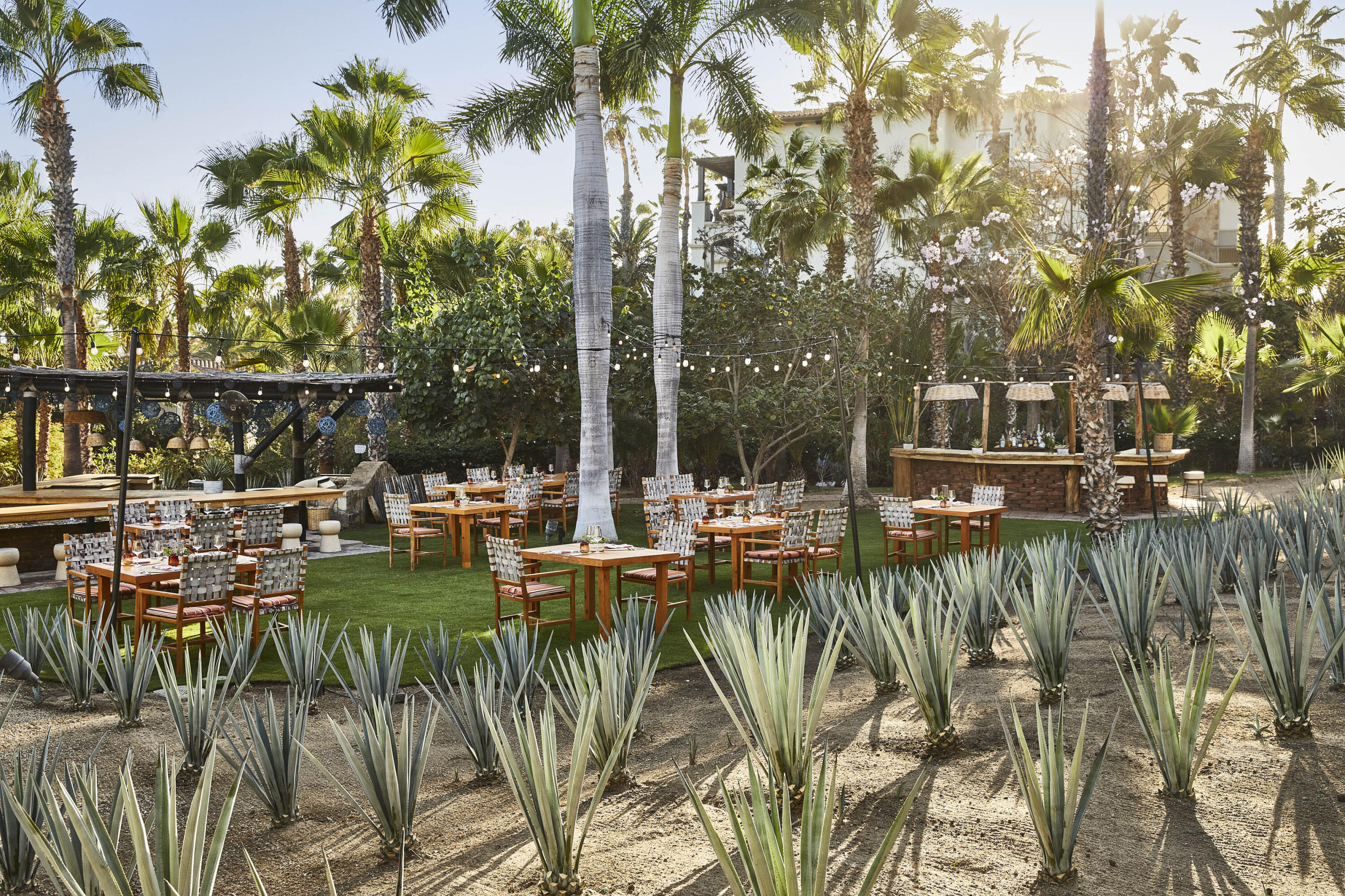 MLS #24-5892 image #20