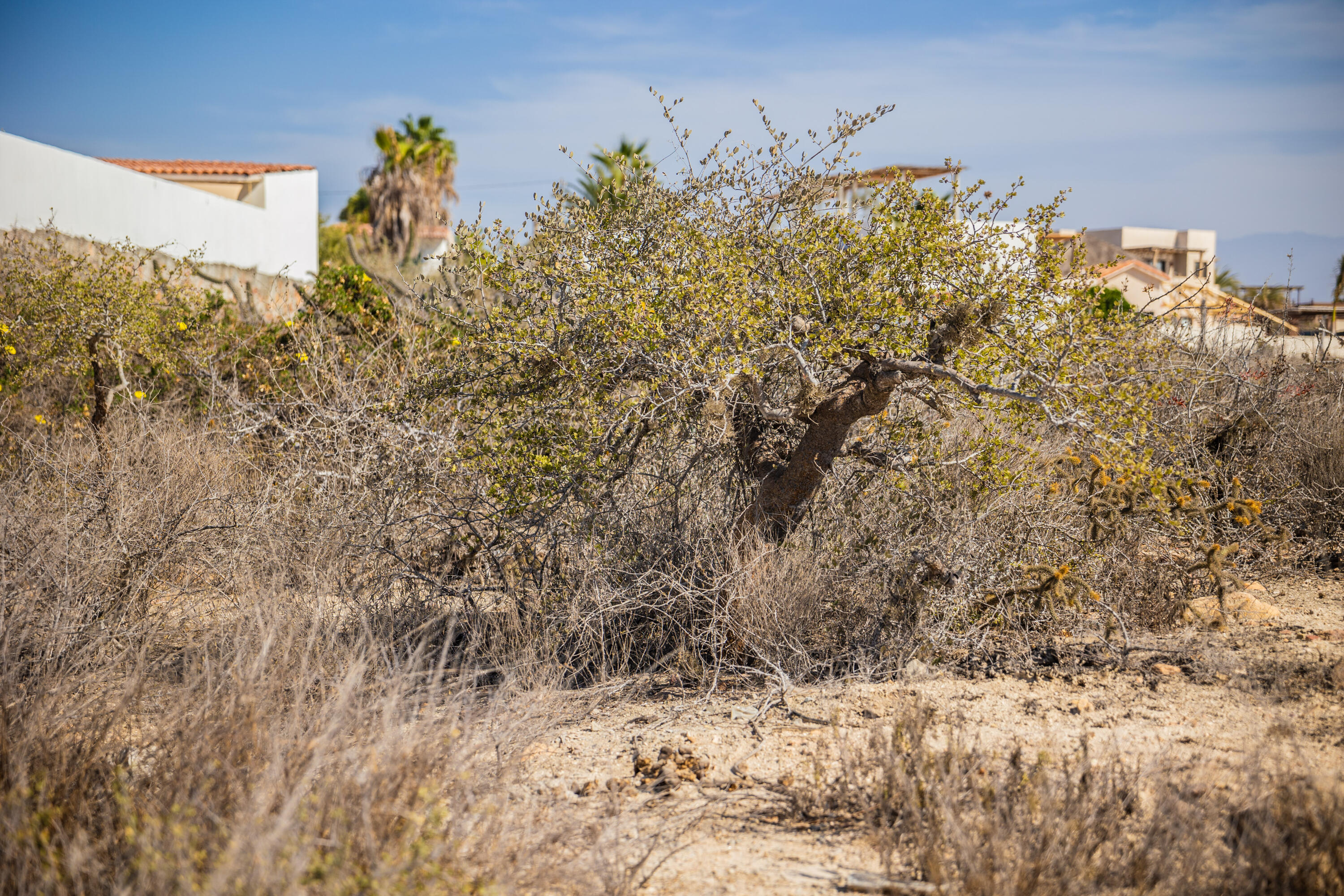 MLS #24-5959 image #16