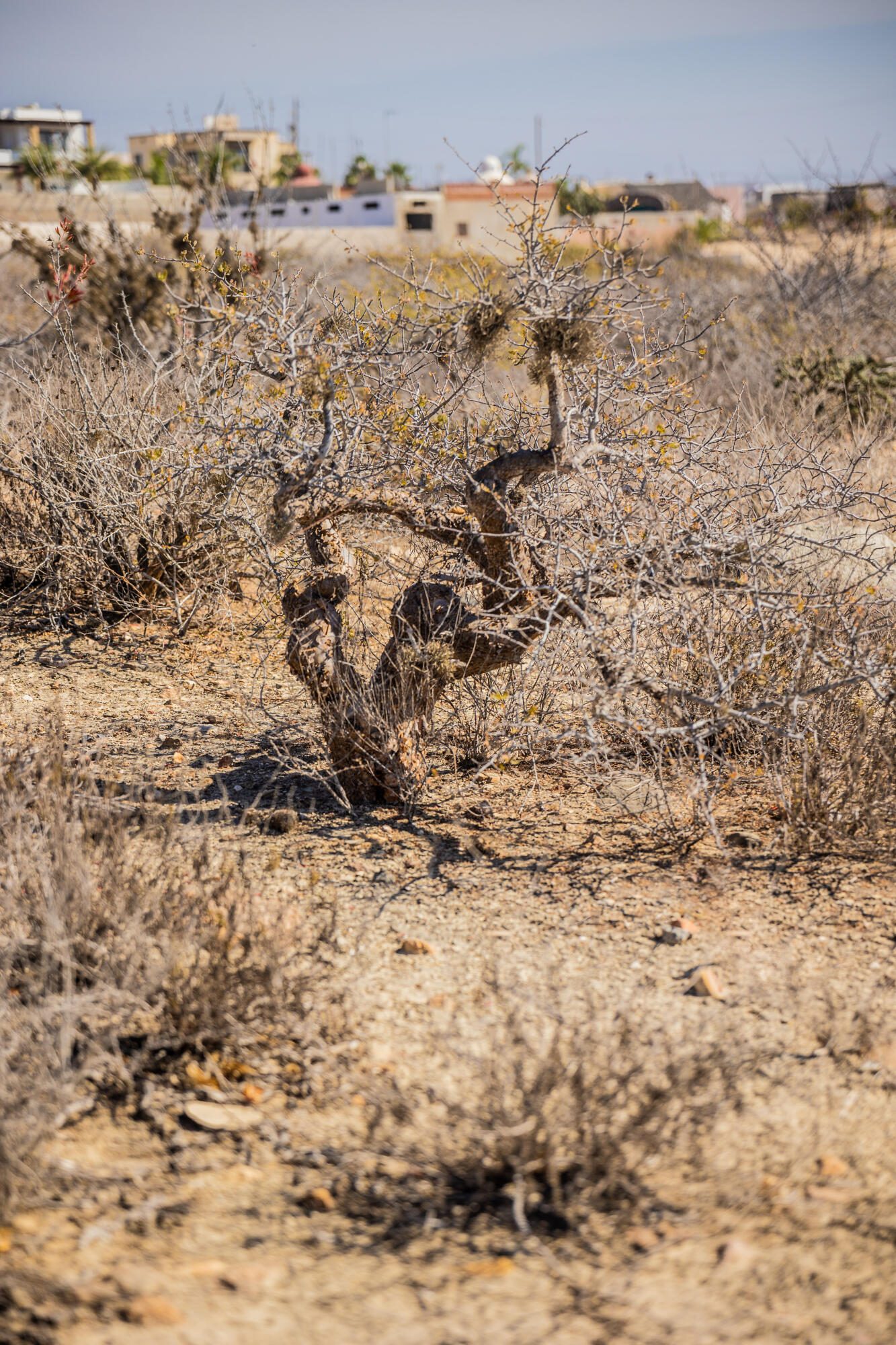 MLS #24-5959 image #17