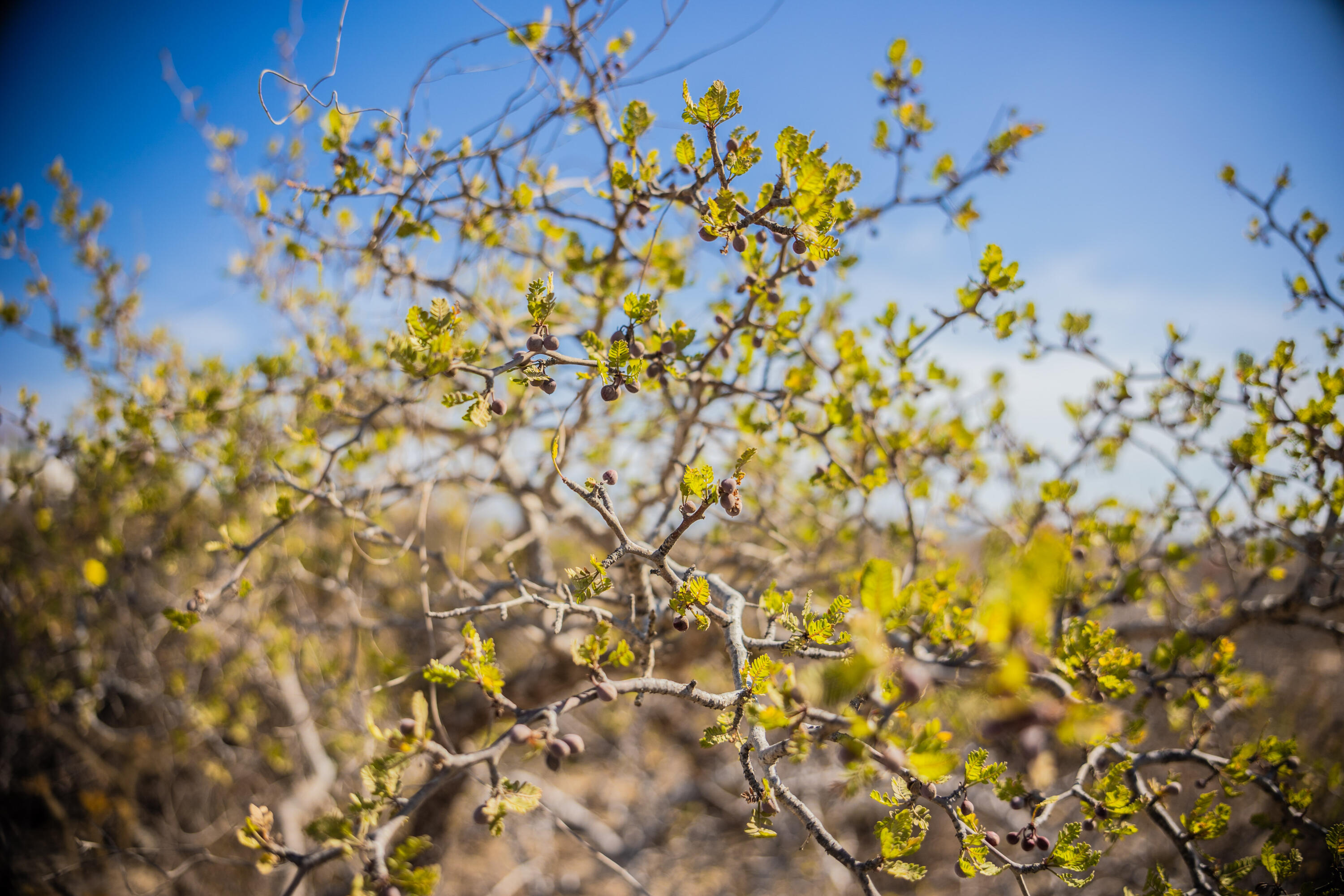 MLS #24-5959 image #18