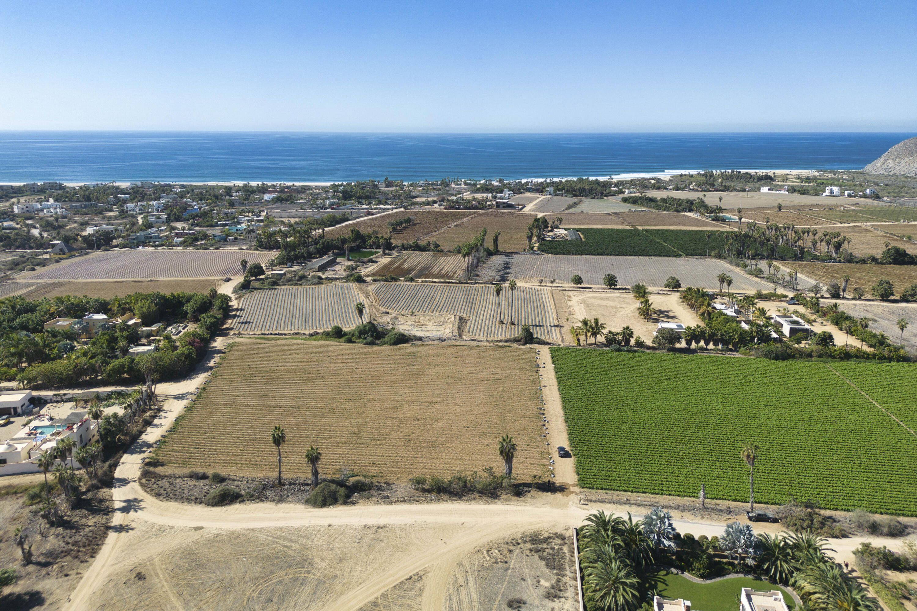 MLS #24-5960 img 3