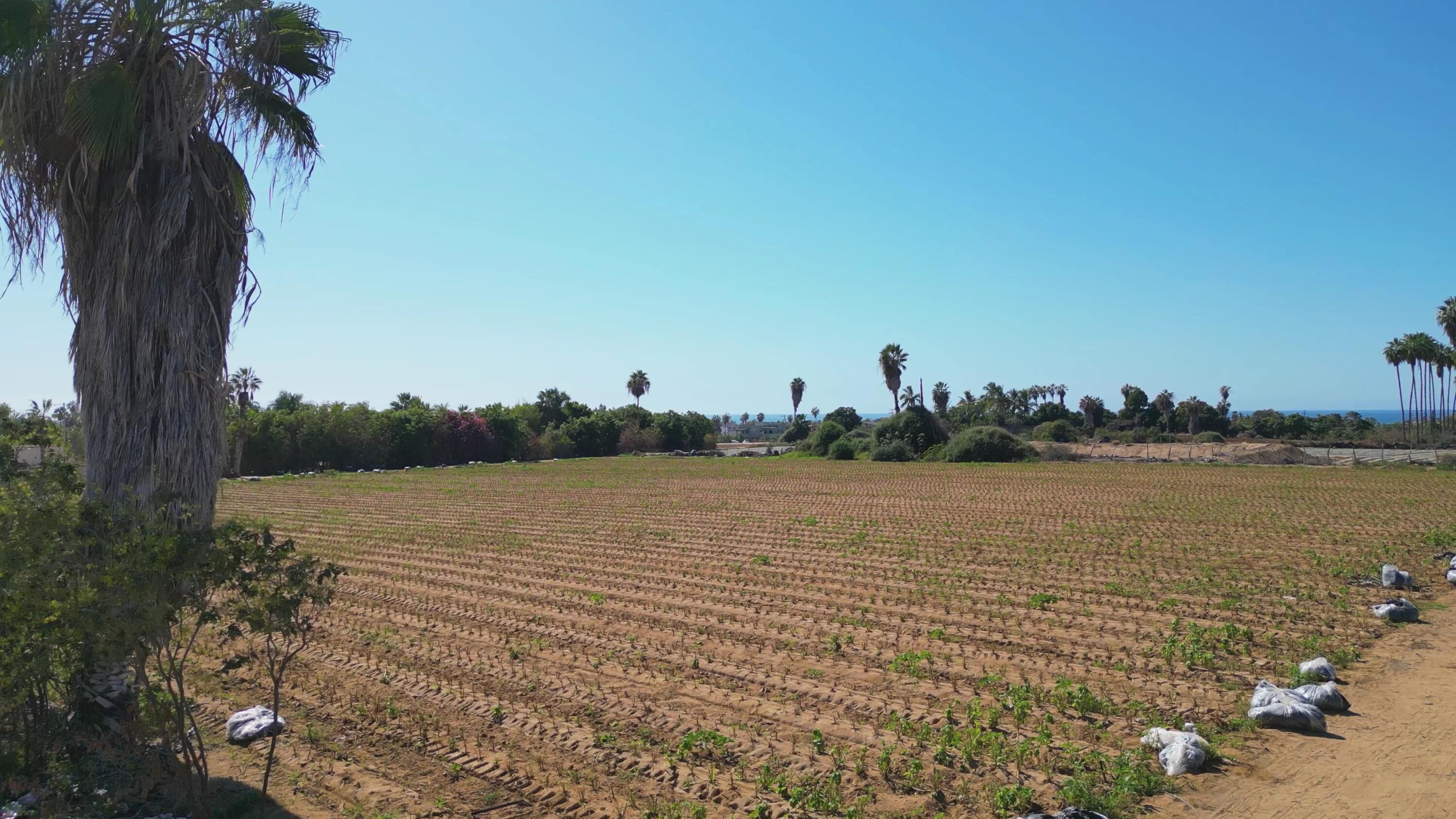 MLS #24-5960 image #8