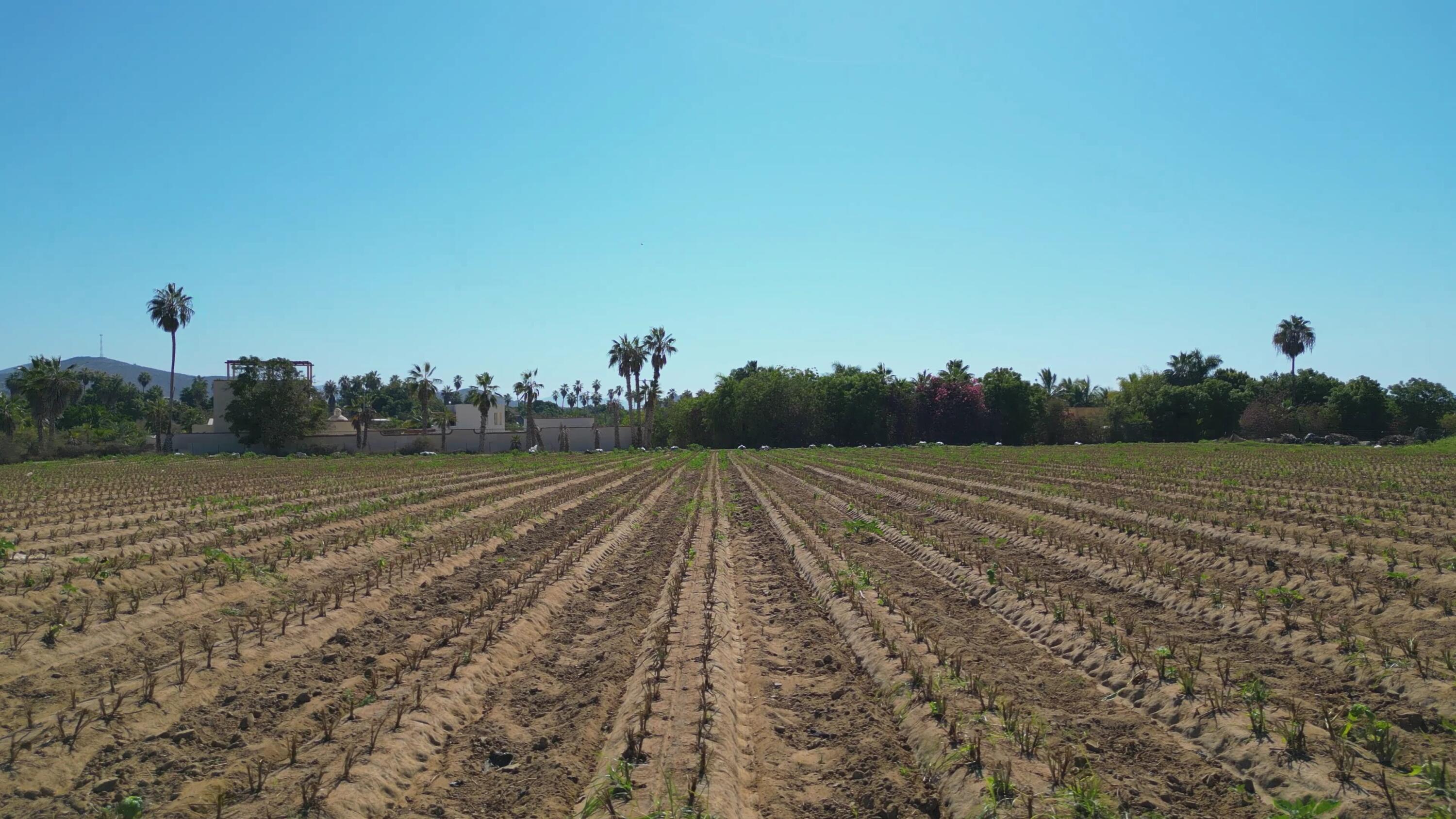 MLS #24-5960 image #9