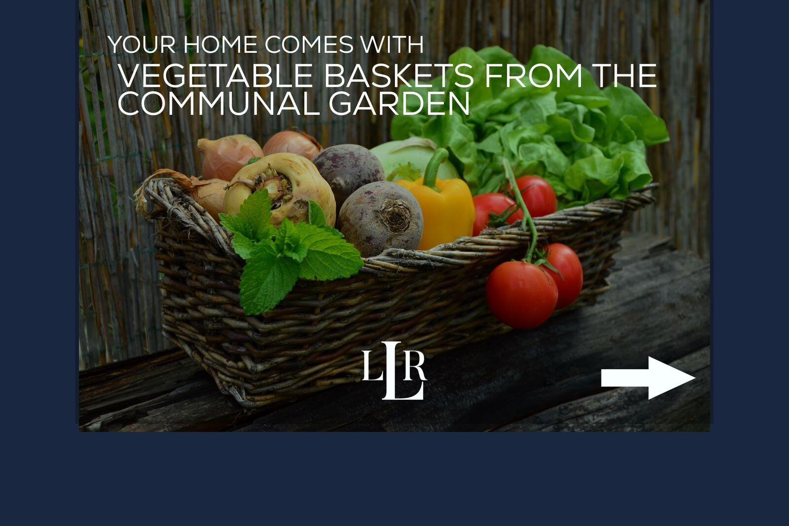 MLS #24-5145 image #9