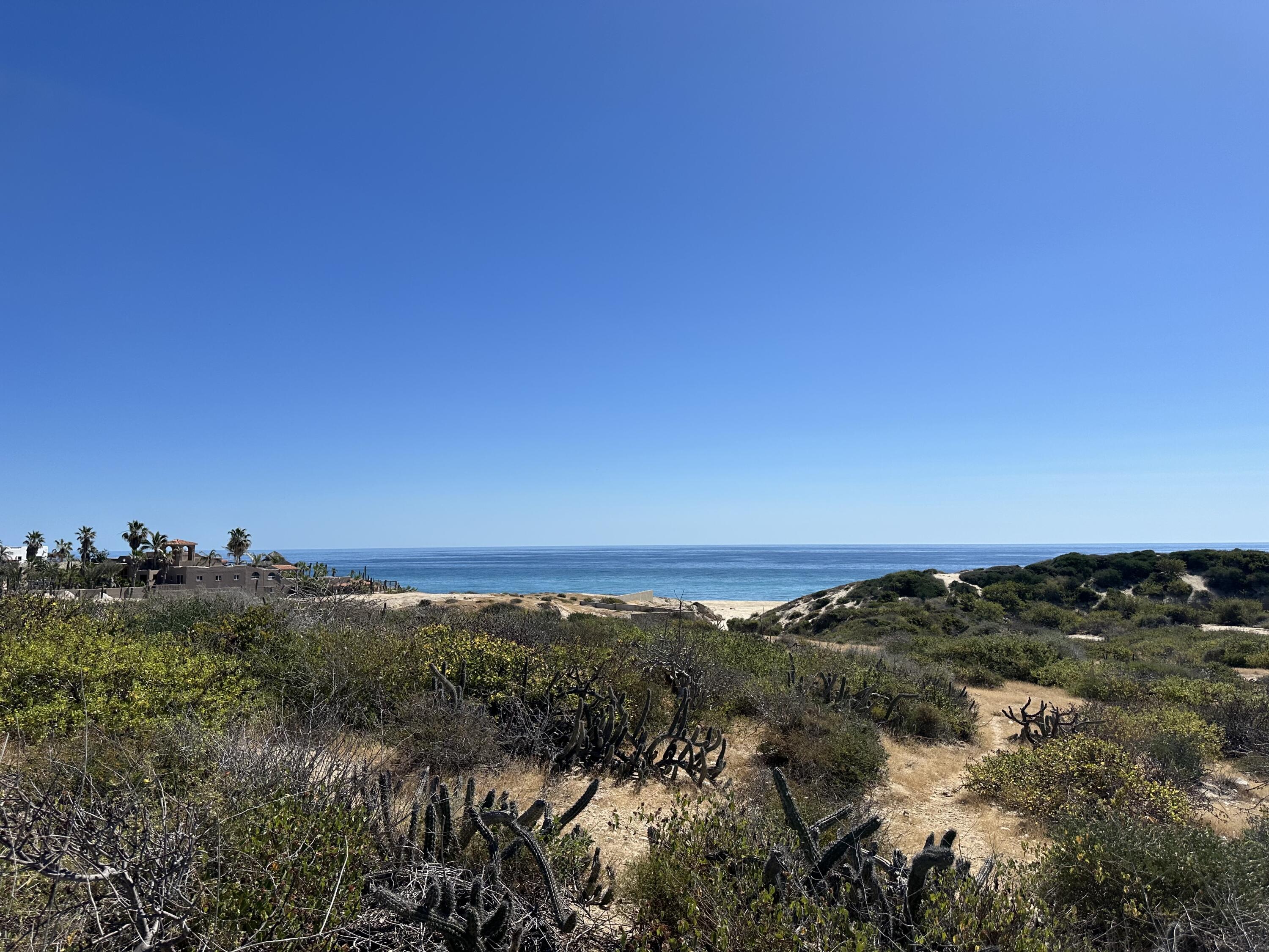 MLS #24-598 image #6