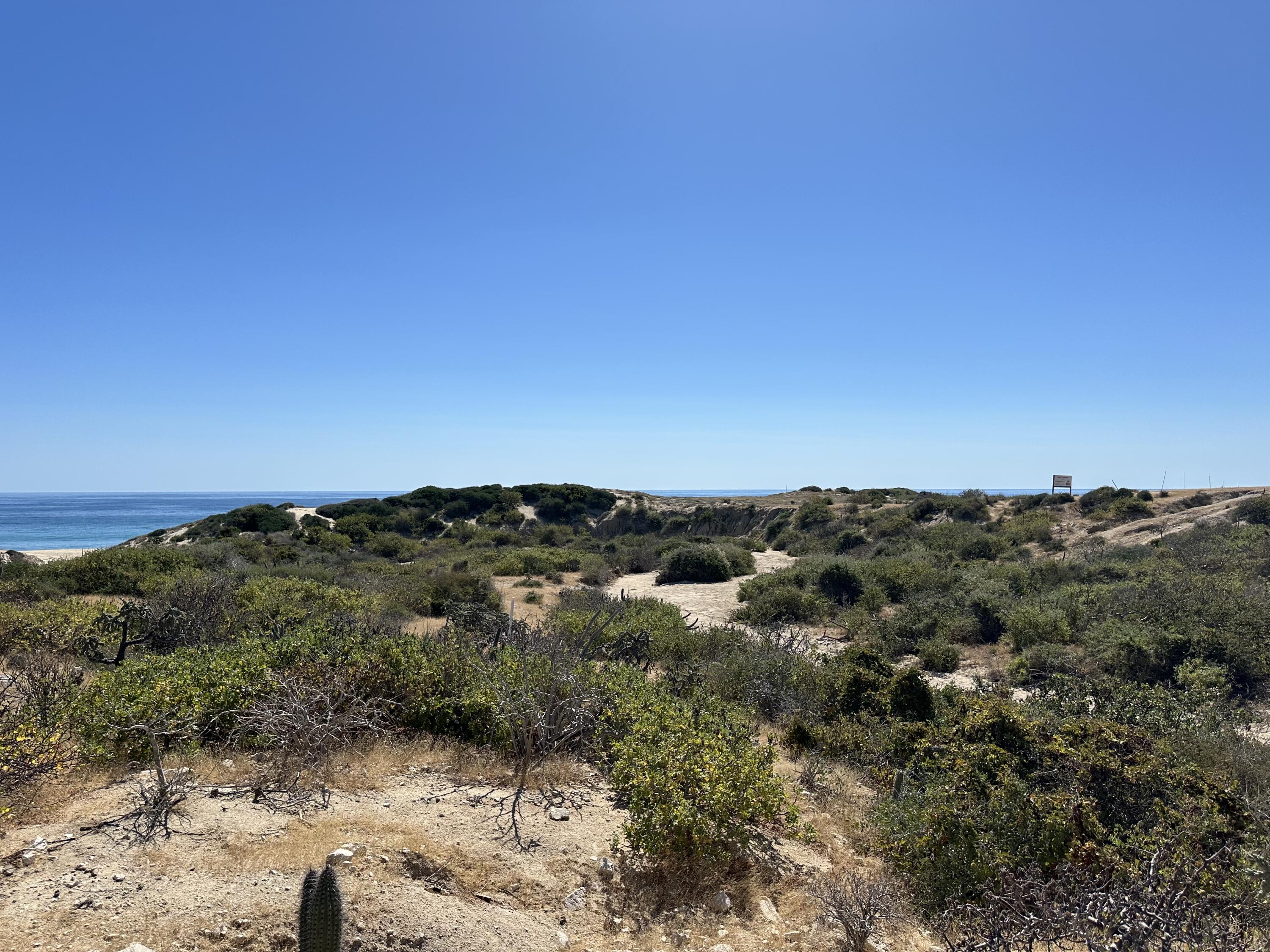 MLS #24-598 image #7