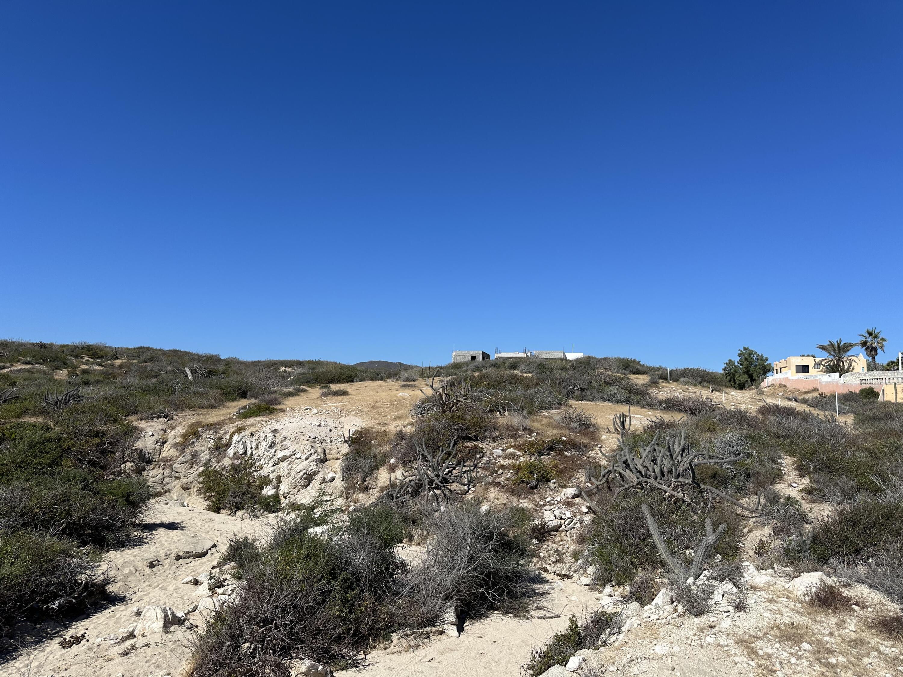 MLS #24-598 image #9