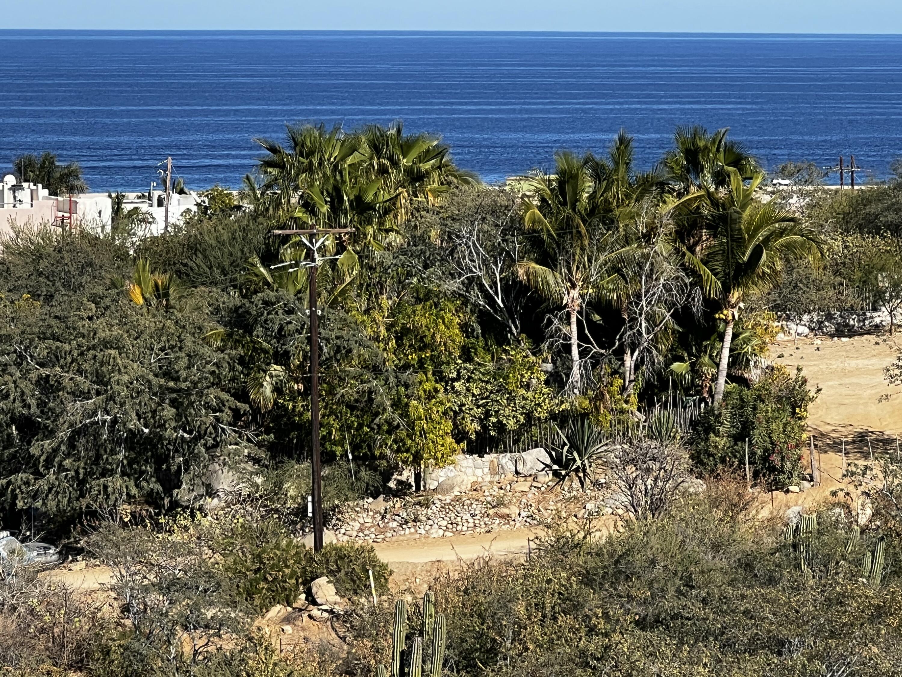 MLS #24-5981 image #10