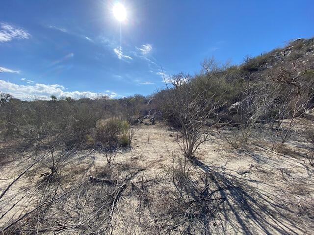MLS #24-5981 img 3