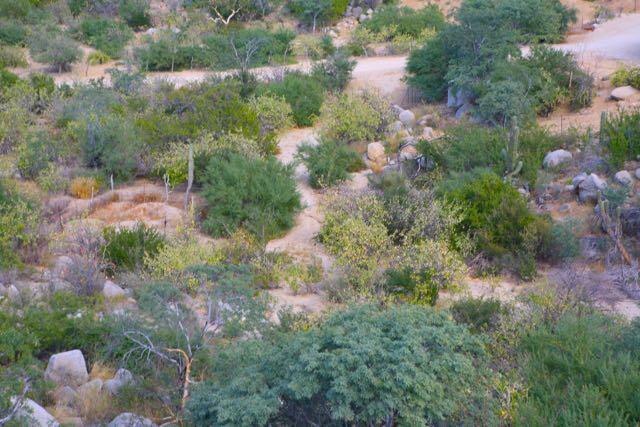 MLS #24-5981 image #8