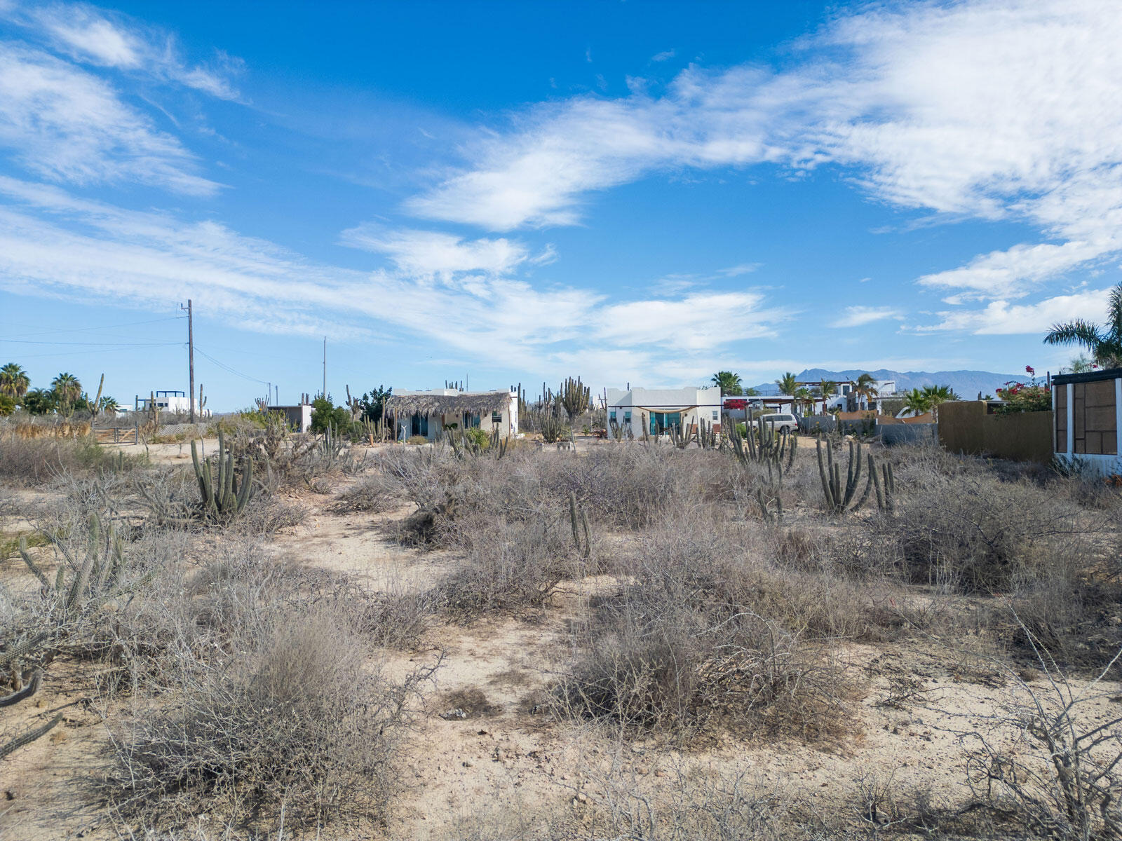 MLS #24-5994 image #2