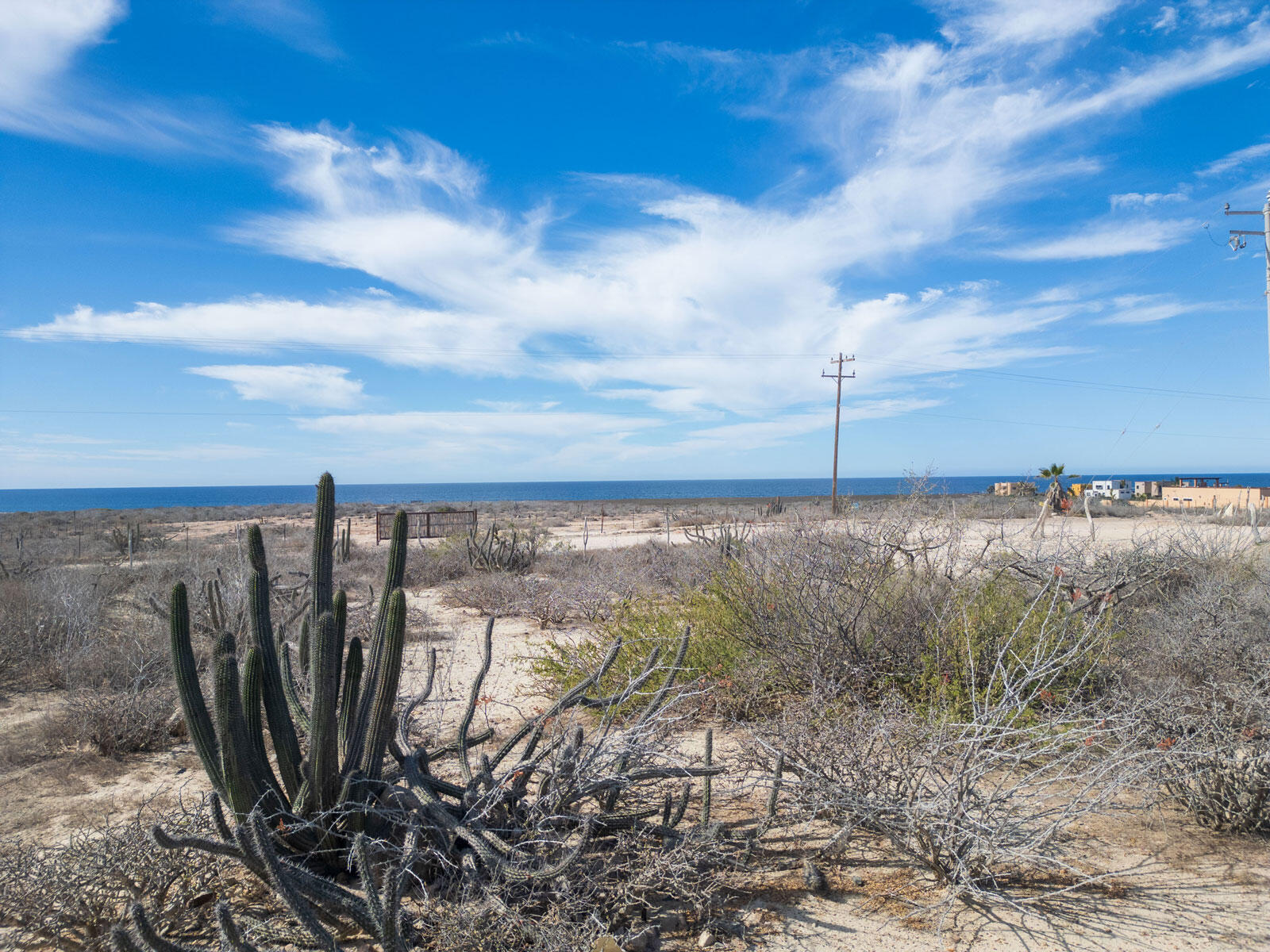 MLS #24-5994 image #4