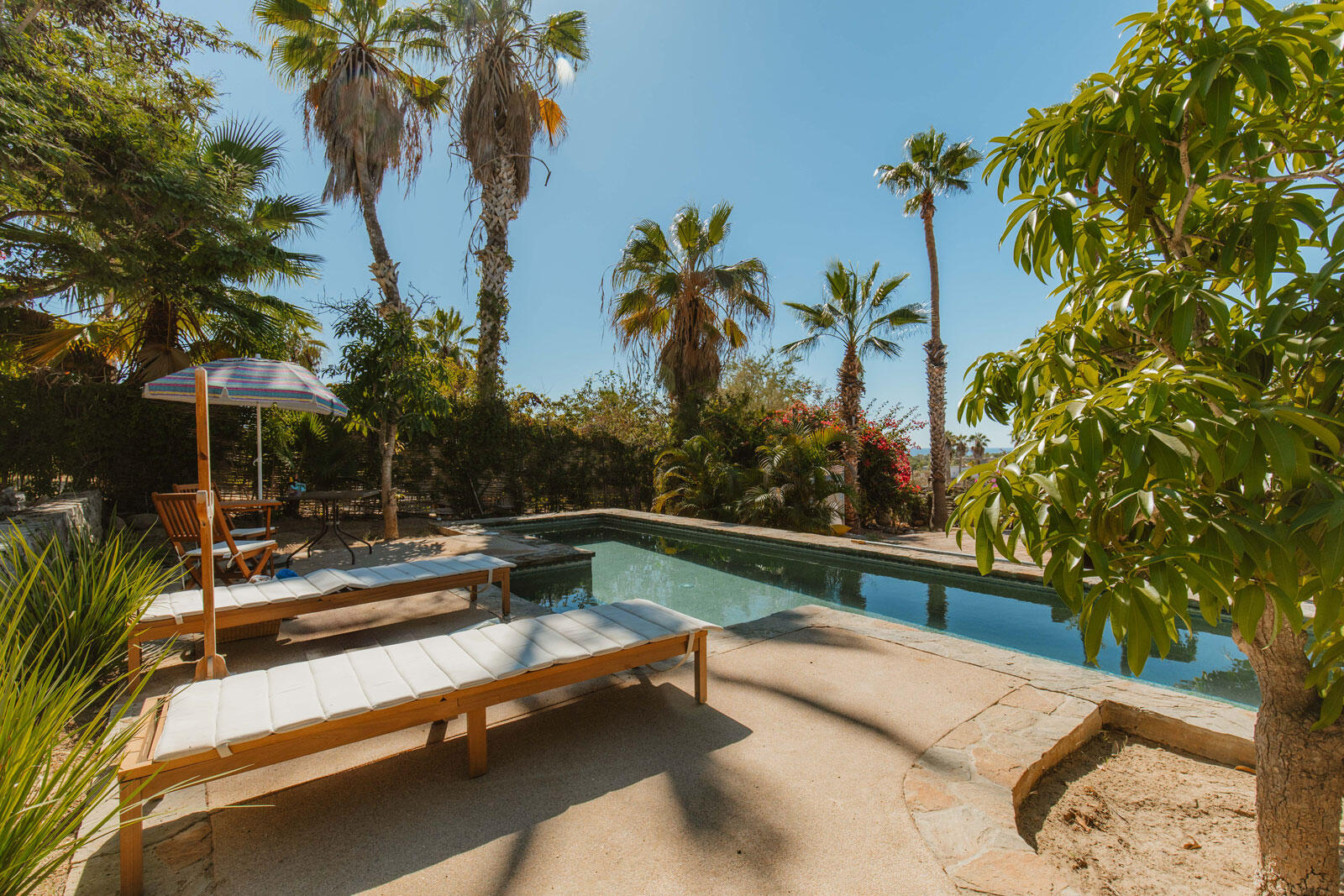 MLS #24-5995 image #14