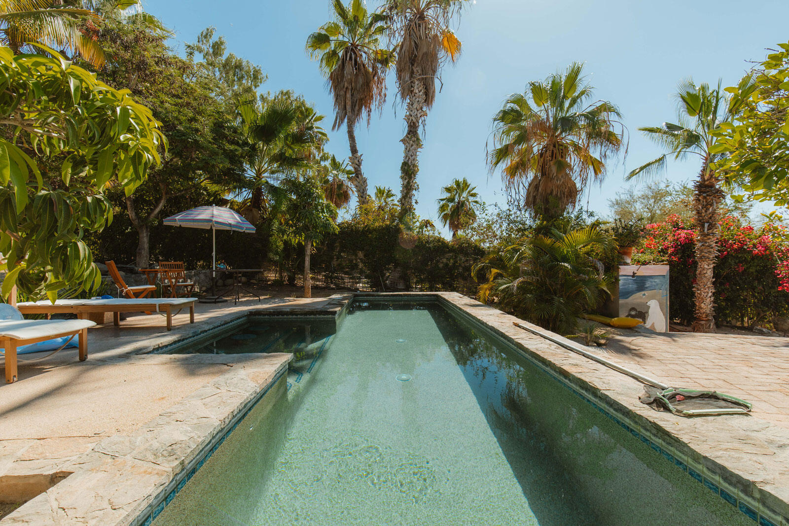 MLS #24-5995 image #15