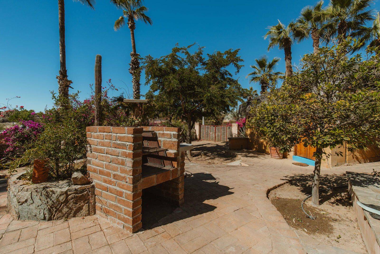 MLS #24-5995 image #19