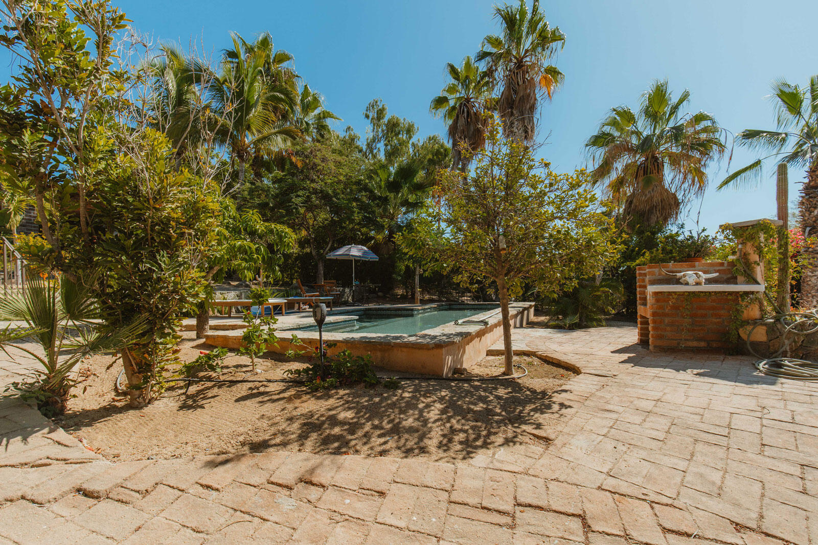 MLS #24-5995 image #24