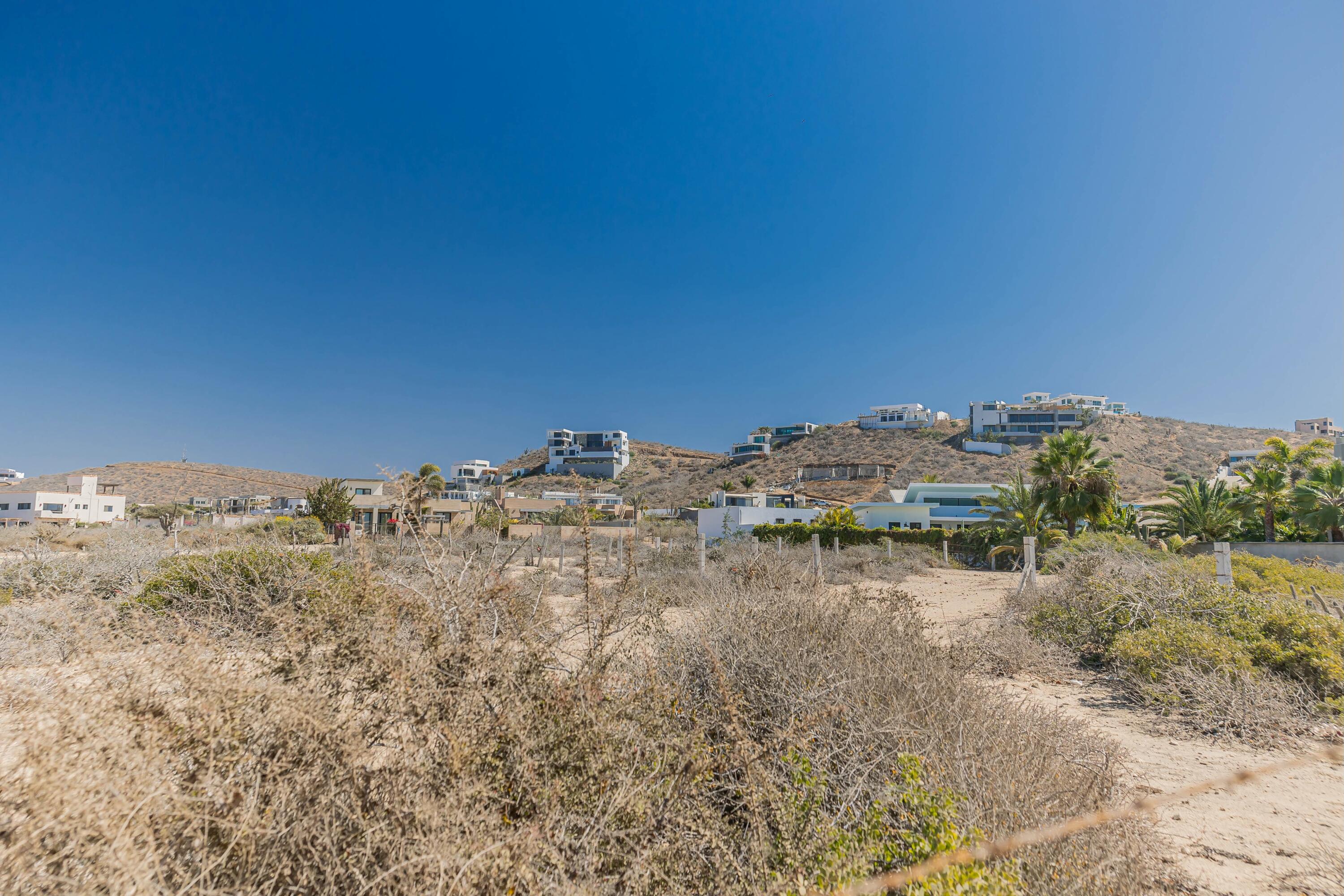 MLS #24-6031 image #14