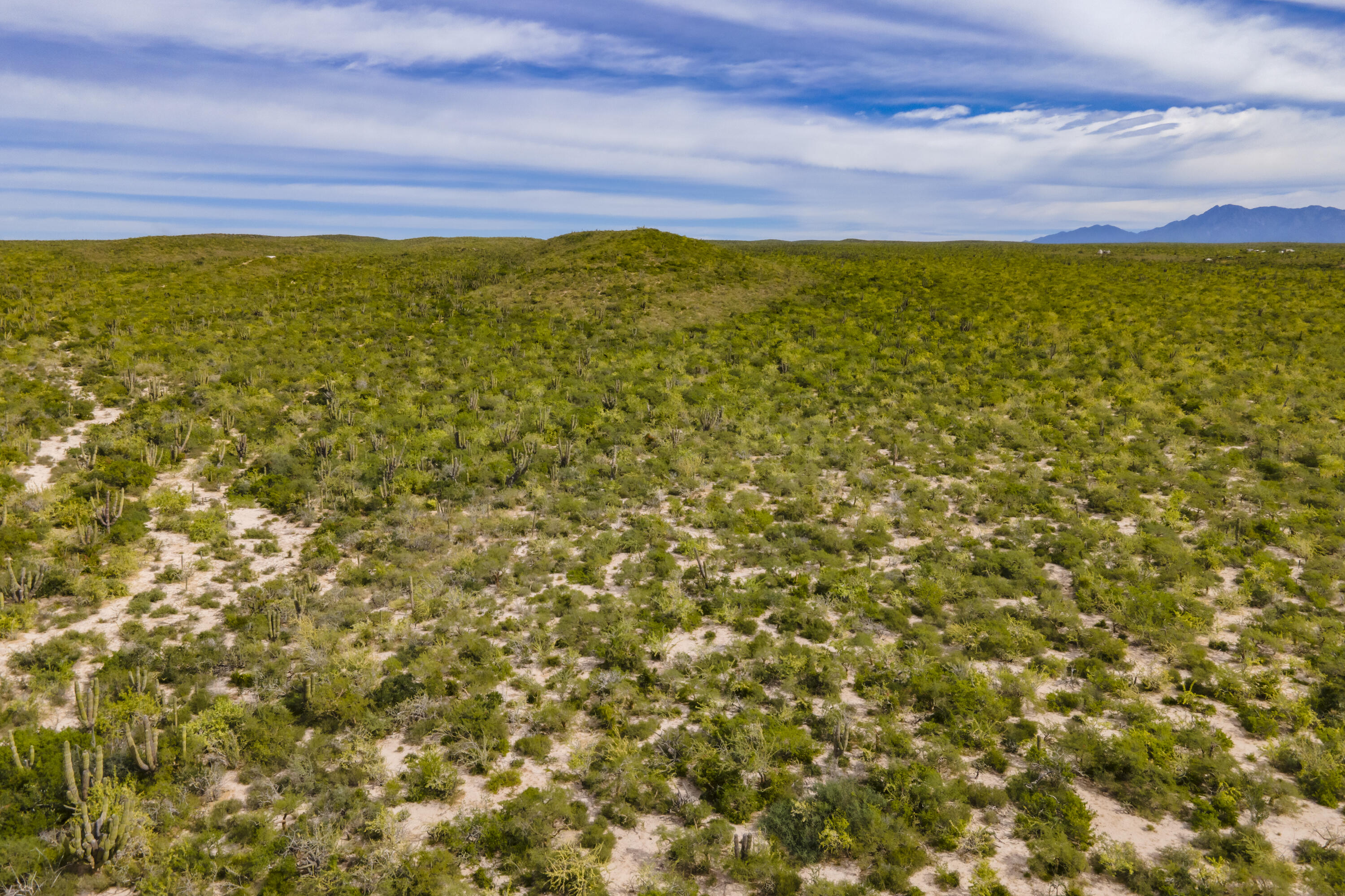 s/n Camino Las Playitas Vista Hermosa Lot 19 Pacific BCS MLS #24-619 46 MLS #24-619 image #5