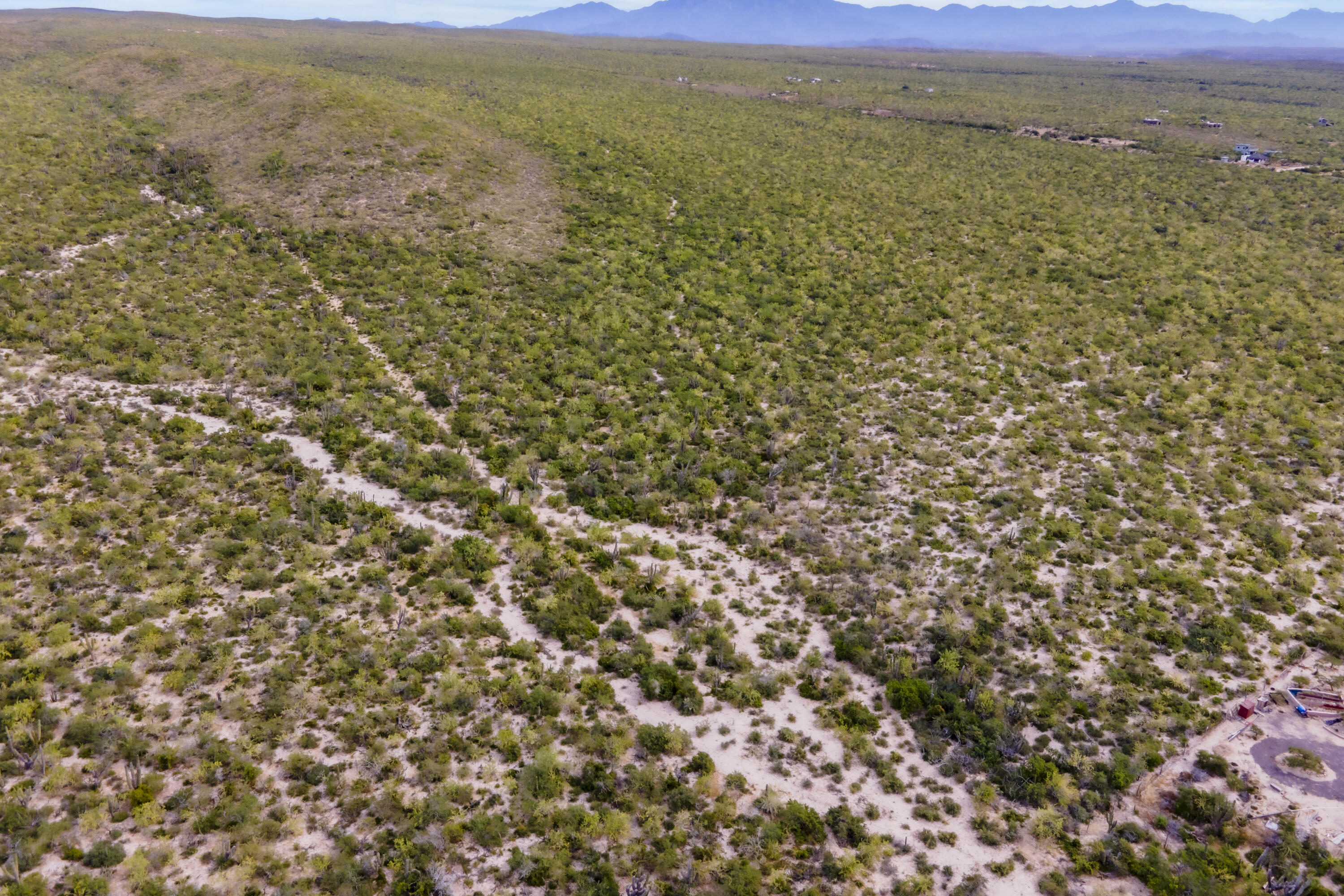 s/n Camino Las Playitas Vista Hermosa Lot 19 Pacific BCS MLS #24-619 47 MLS #24-619 image #6