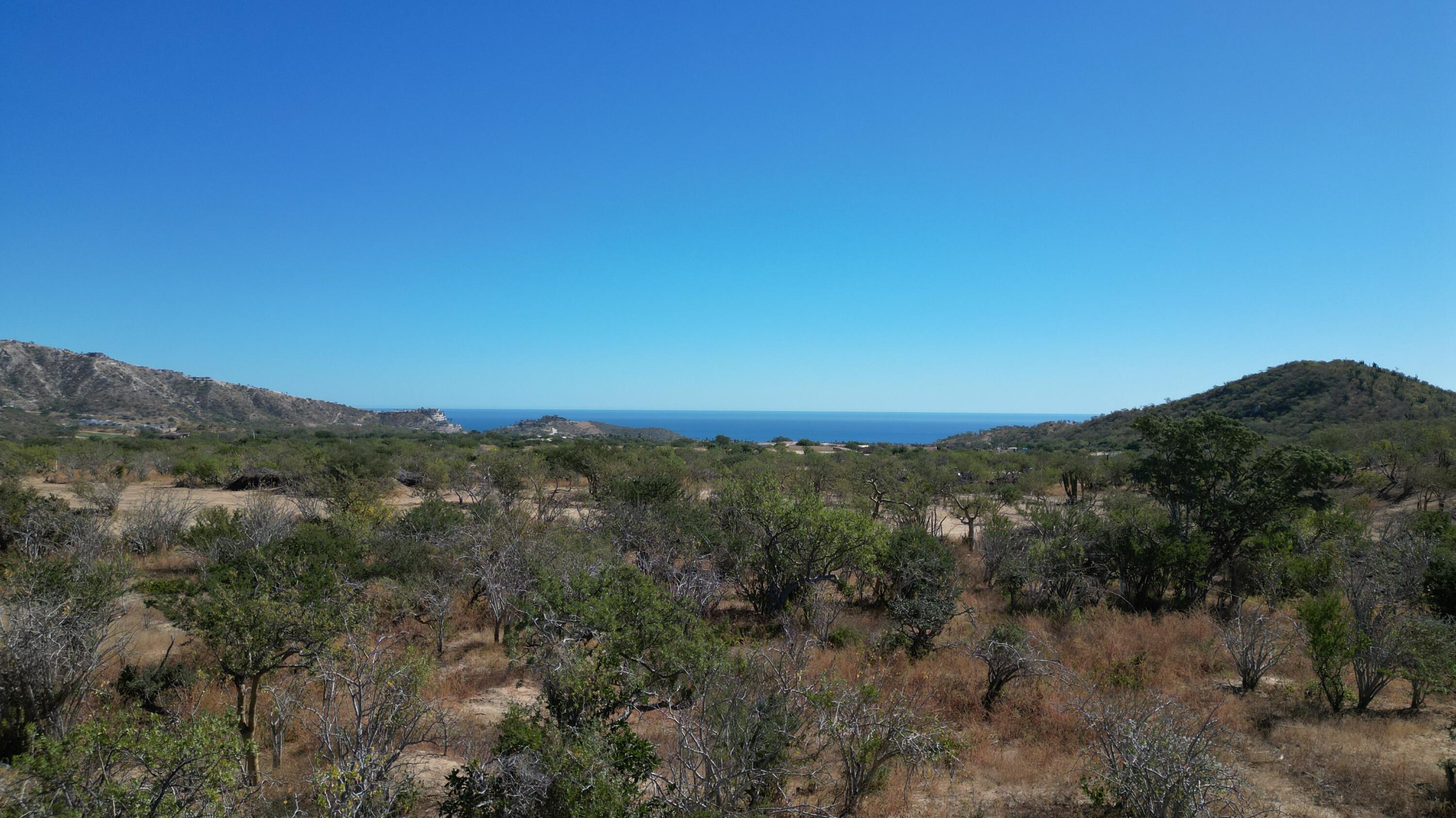 Palmilla Park Lot 28 San Jose Corridor BCS MLS #24-631 41 MLS #24-631 image #2