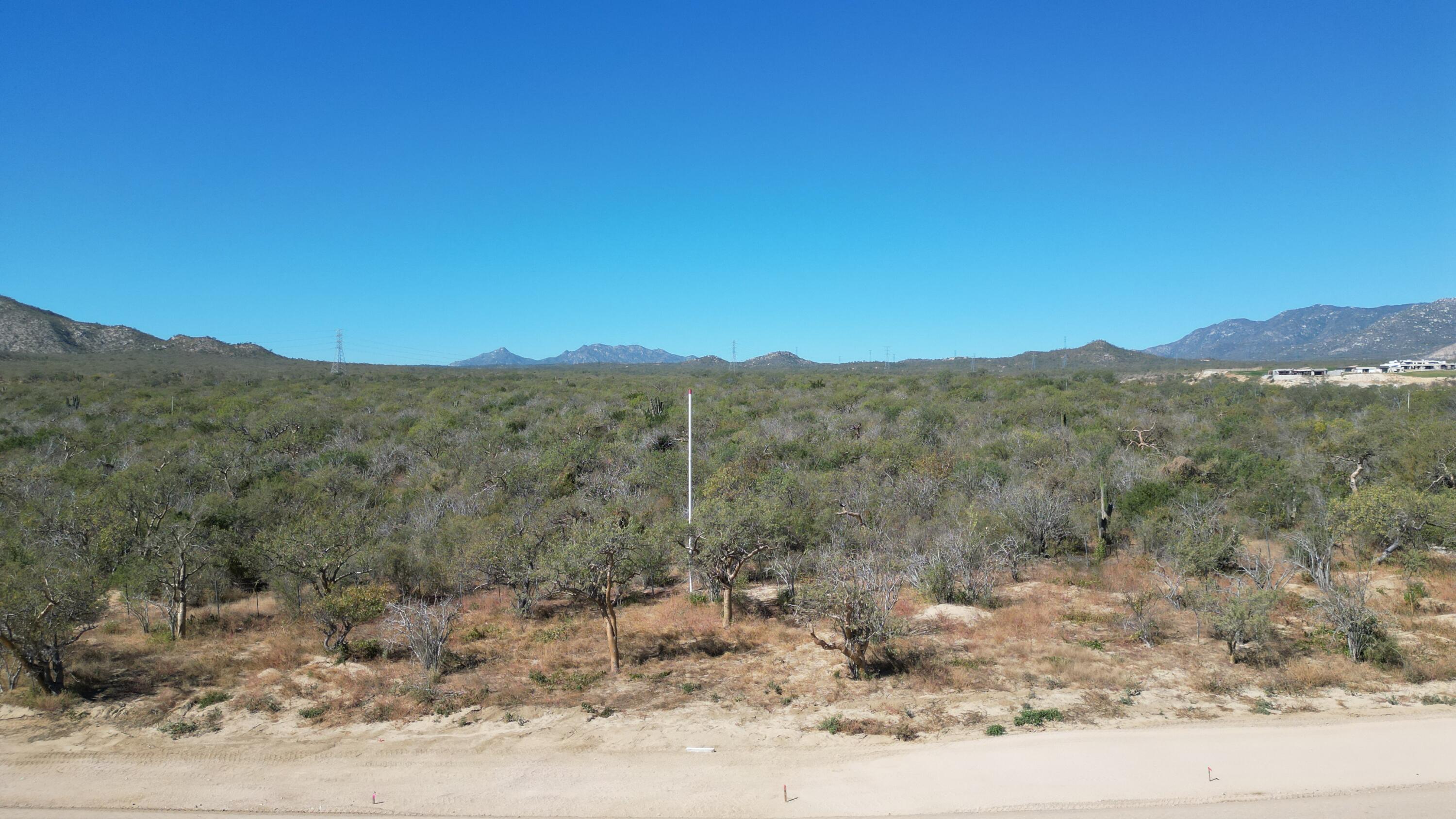 Palmilla Park Lot 28 San Jose Corridor BCS MLS #24-631 42 MLS #24-631 image #3