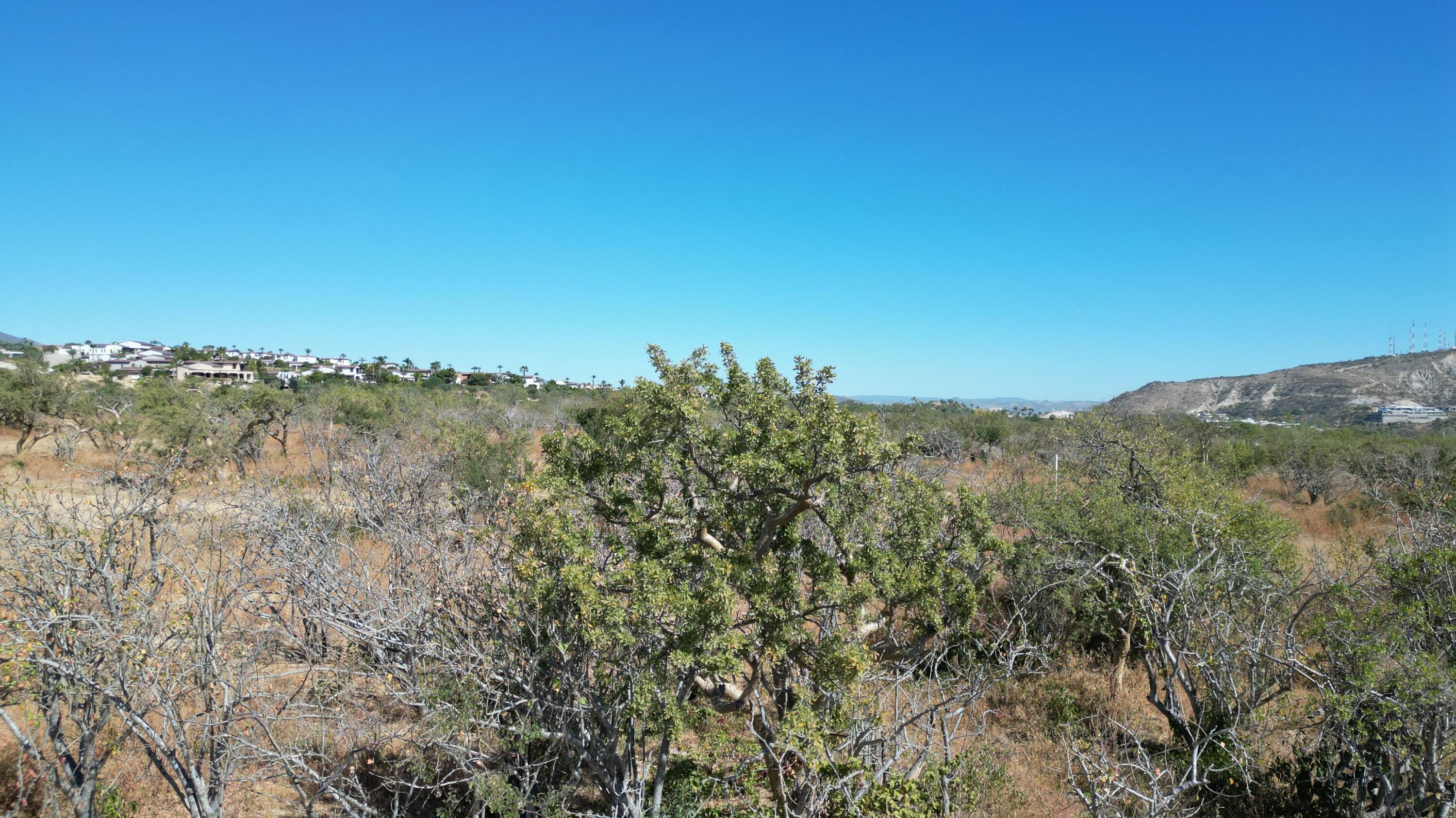 Palmilla Park Lot 28 San Jose Corridor BCS MLS #24-631 43 MLS #24-631 image #4