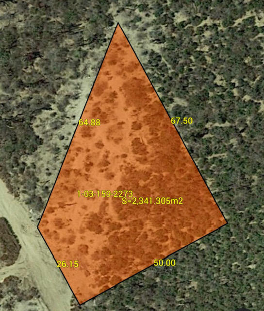 MLS #24-742 image #12