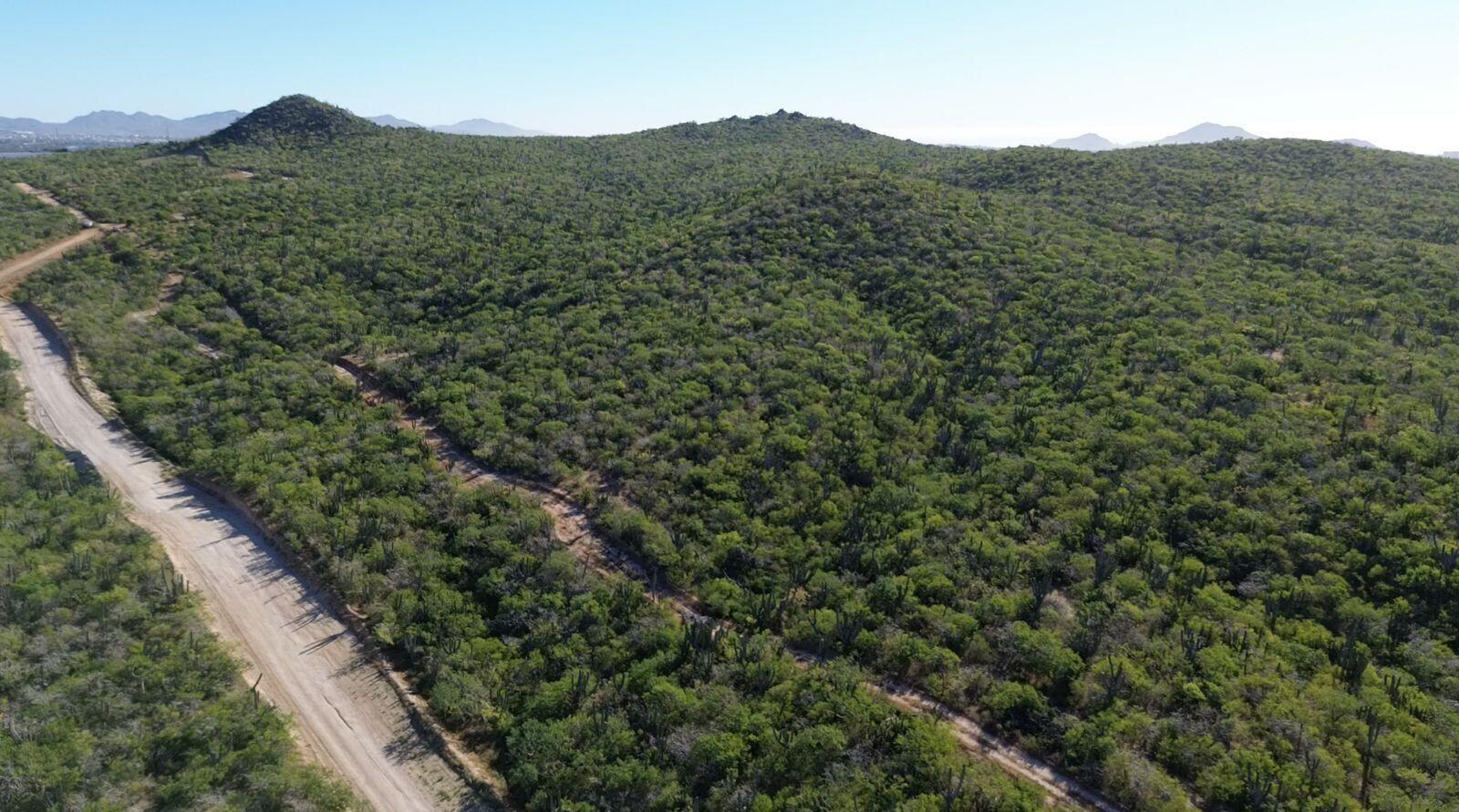 PACIFICA VISTAS Pacific Pacific BCS MLS #24-8 34 MLS #24-8 image #5