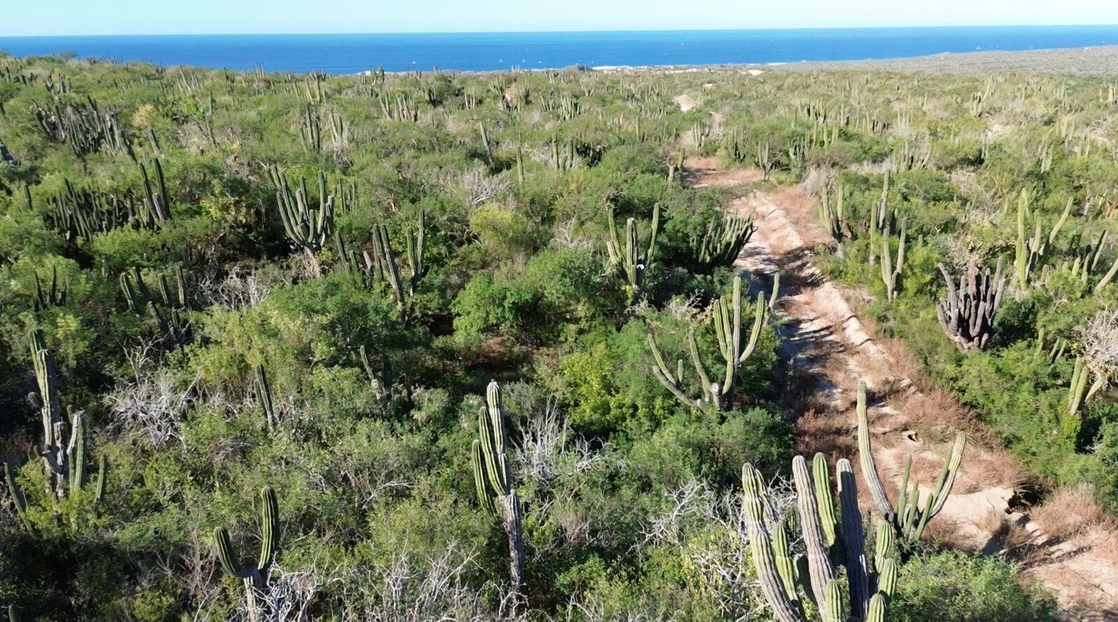 PACIFICA VISTAS Pacific Pacific BCS MLS #24-8 35 MLS #24-8 image #6