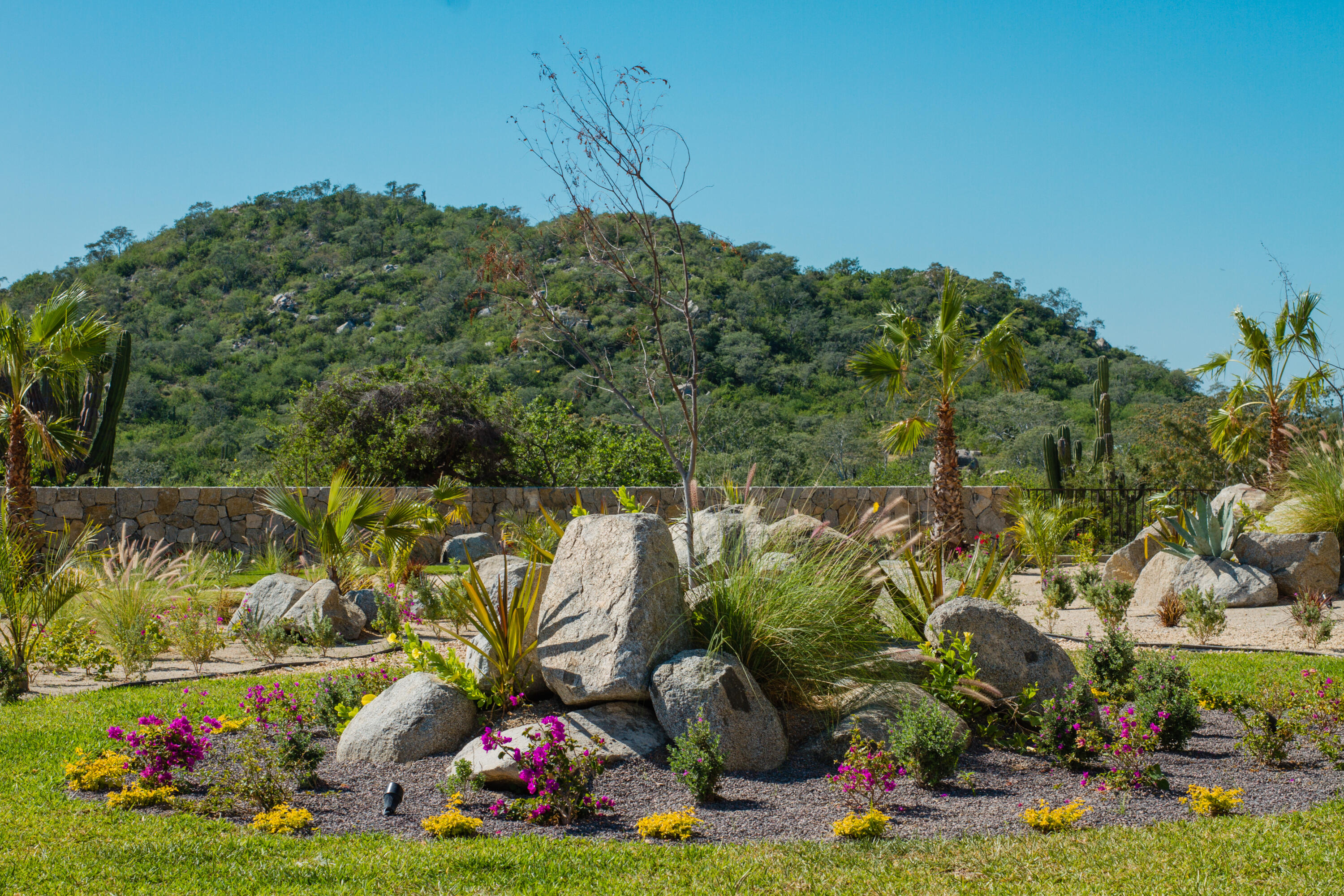 MLS #24-817 image #18